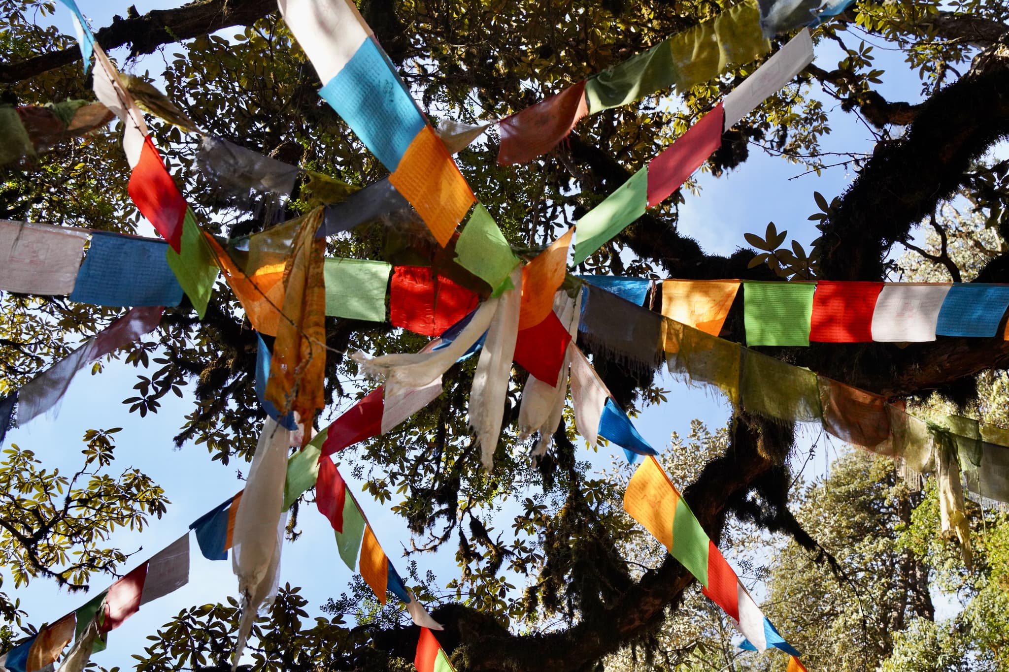 Annapurna Trek 04