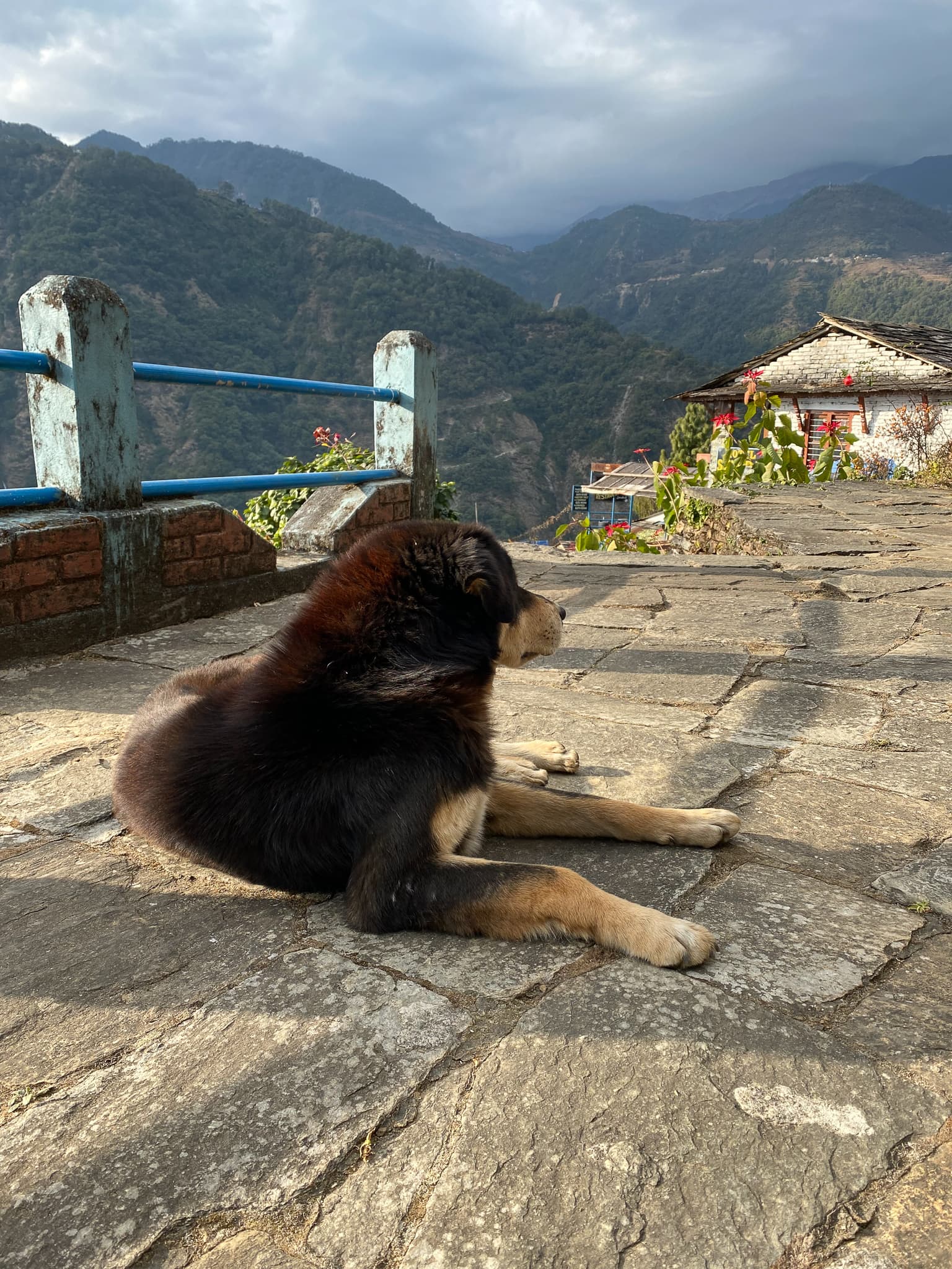 Annapurna Trek 07