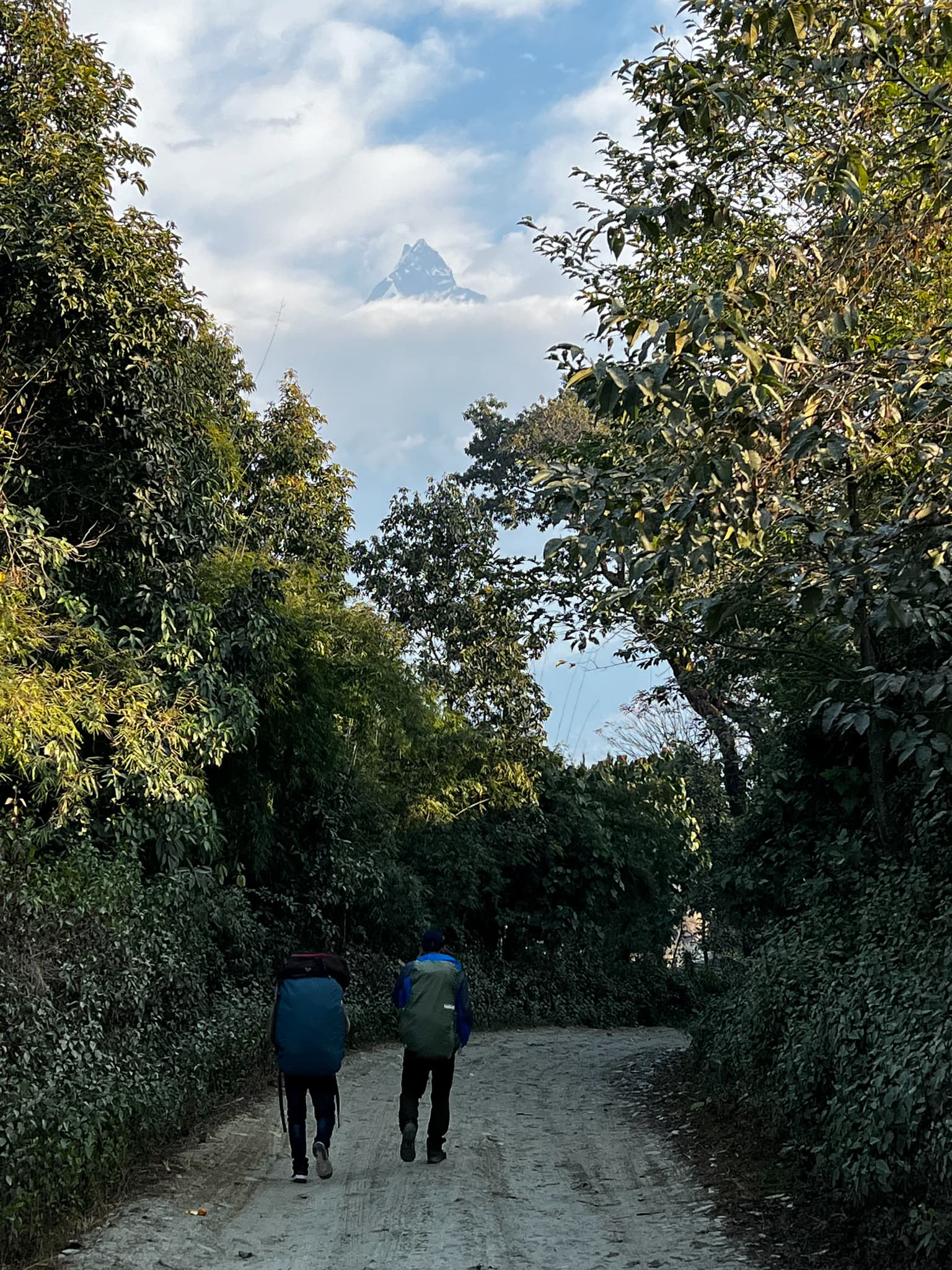 Annapurna Trek 11
