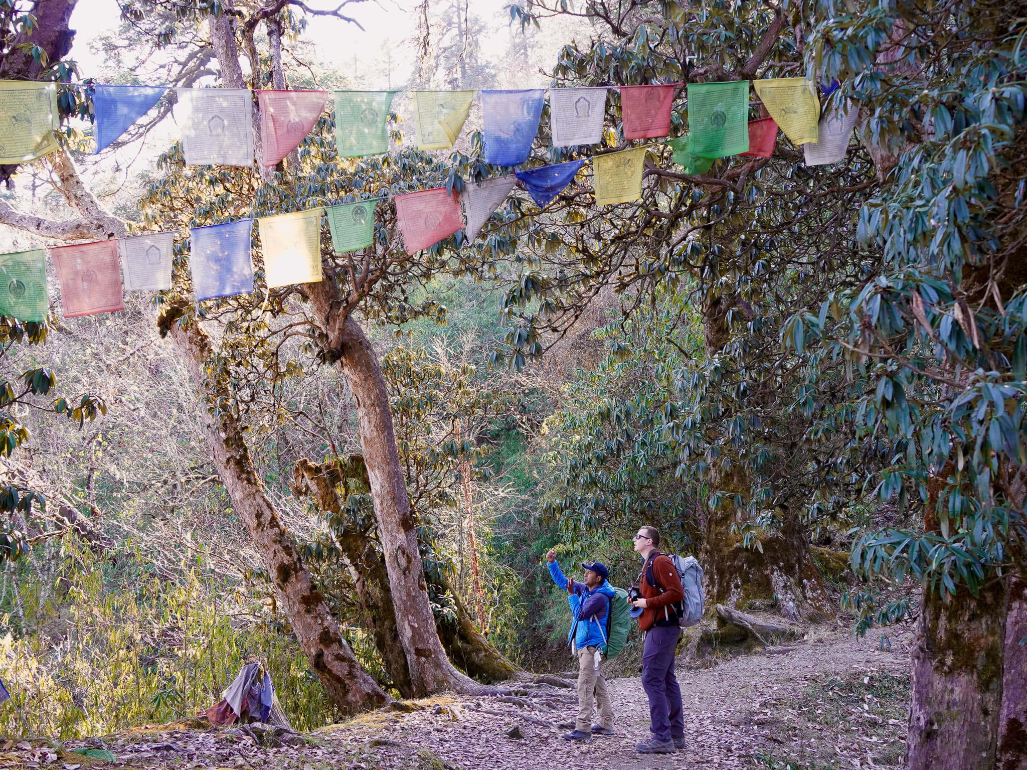 Annapurna Trek 13