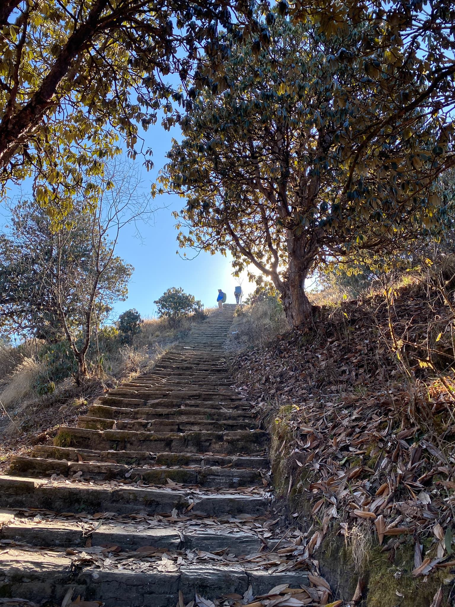 Annapurna Trek 18
