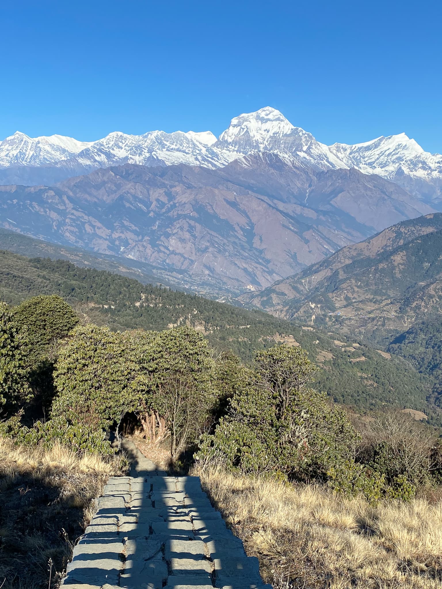 Annapurna Trek 23