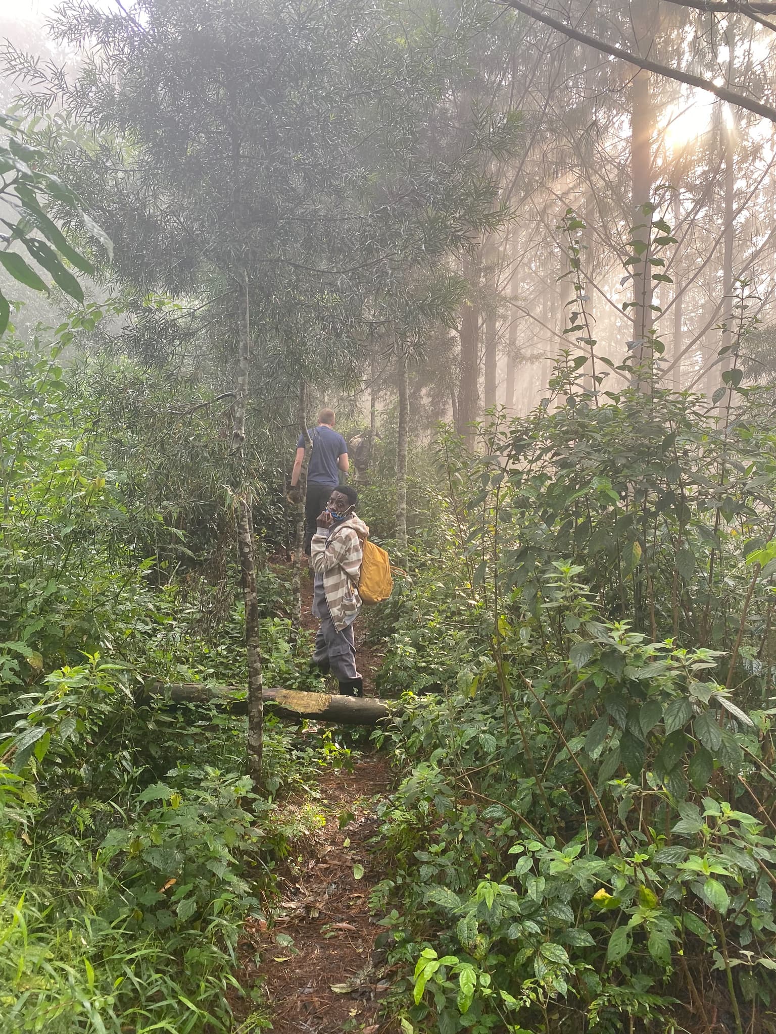 The Impenetrable Forest 16