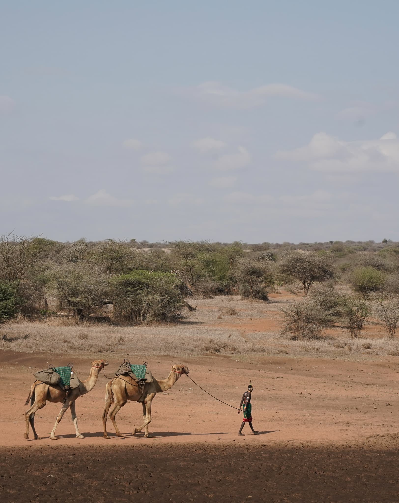 Camel Trekking 01