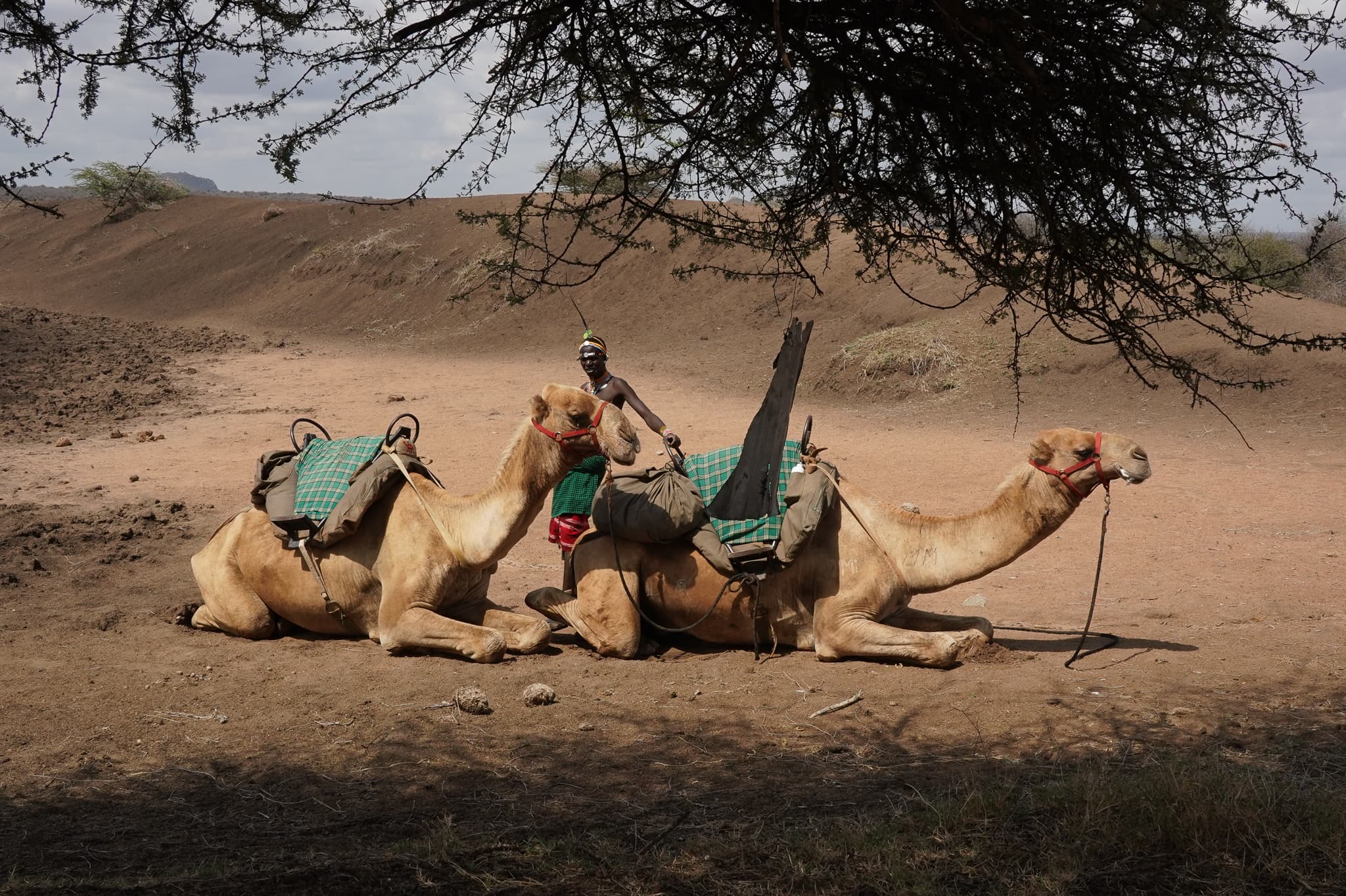 Camel Trekking 09