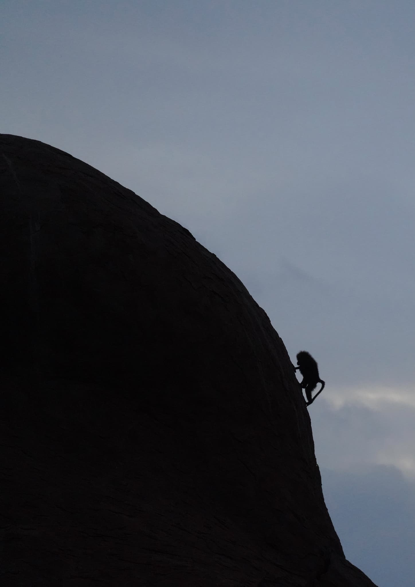 Camel Trekking 16