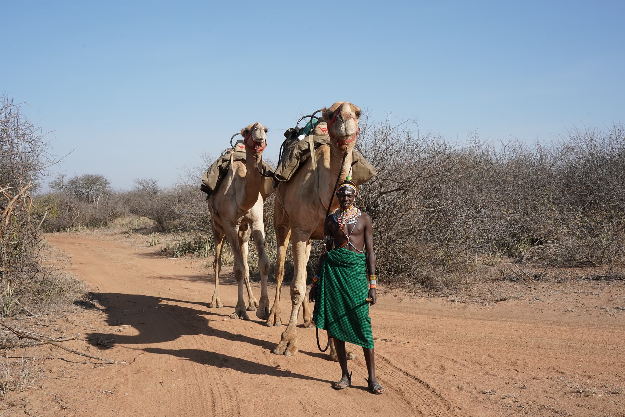 Camel Trekking 18