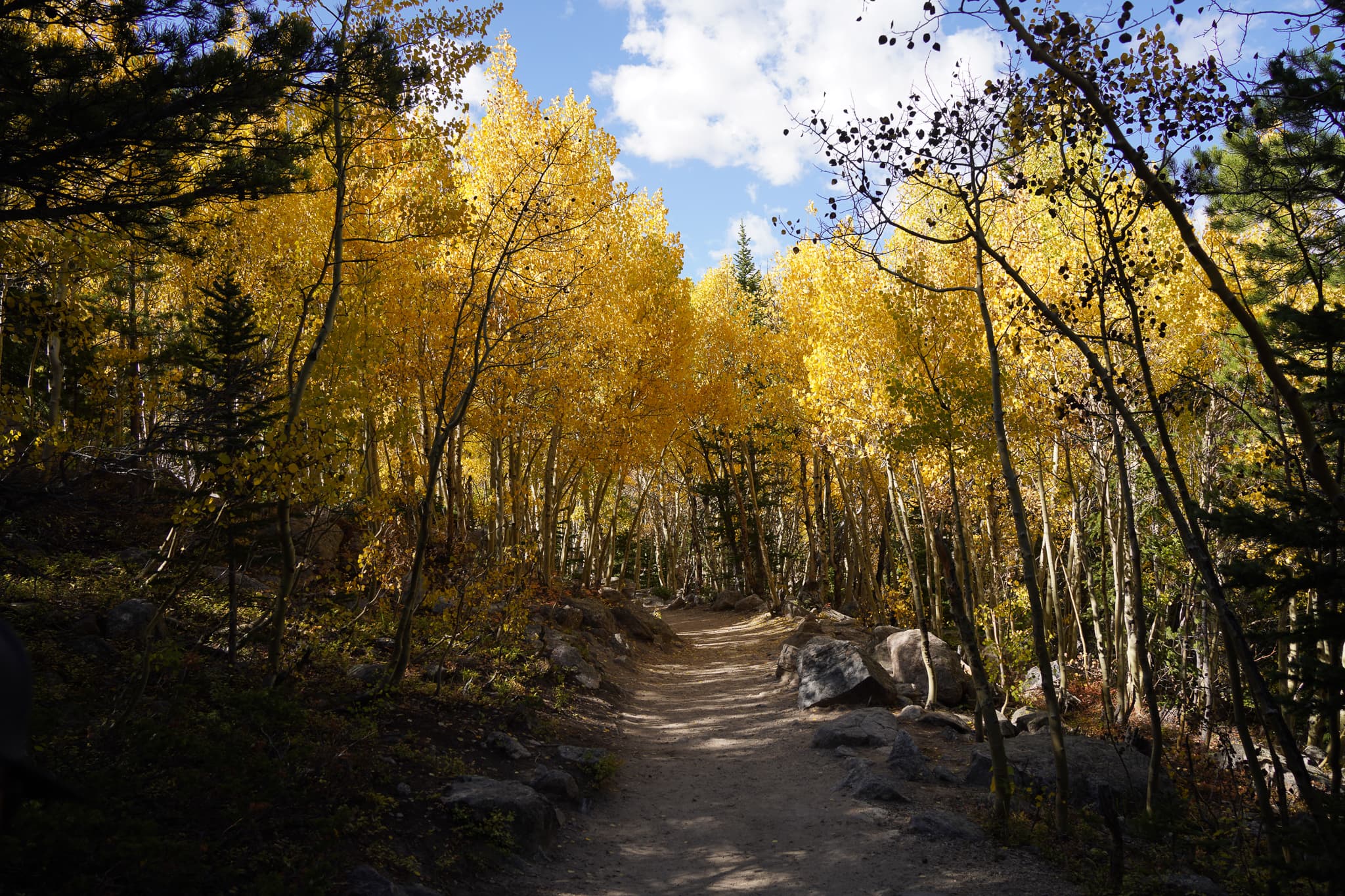 Colorado Parks 03