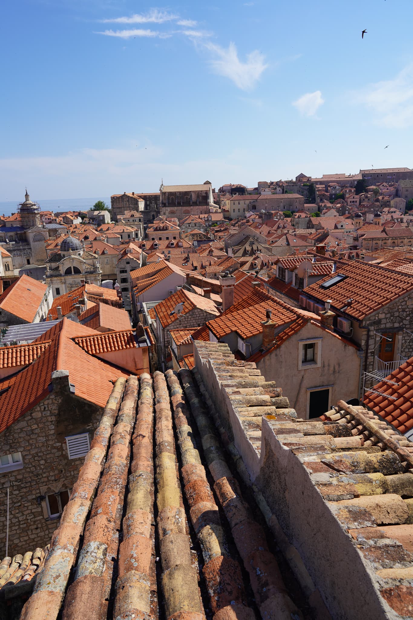 Dubrovnik 07