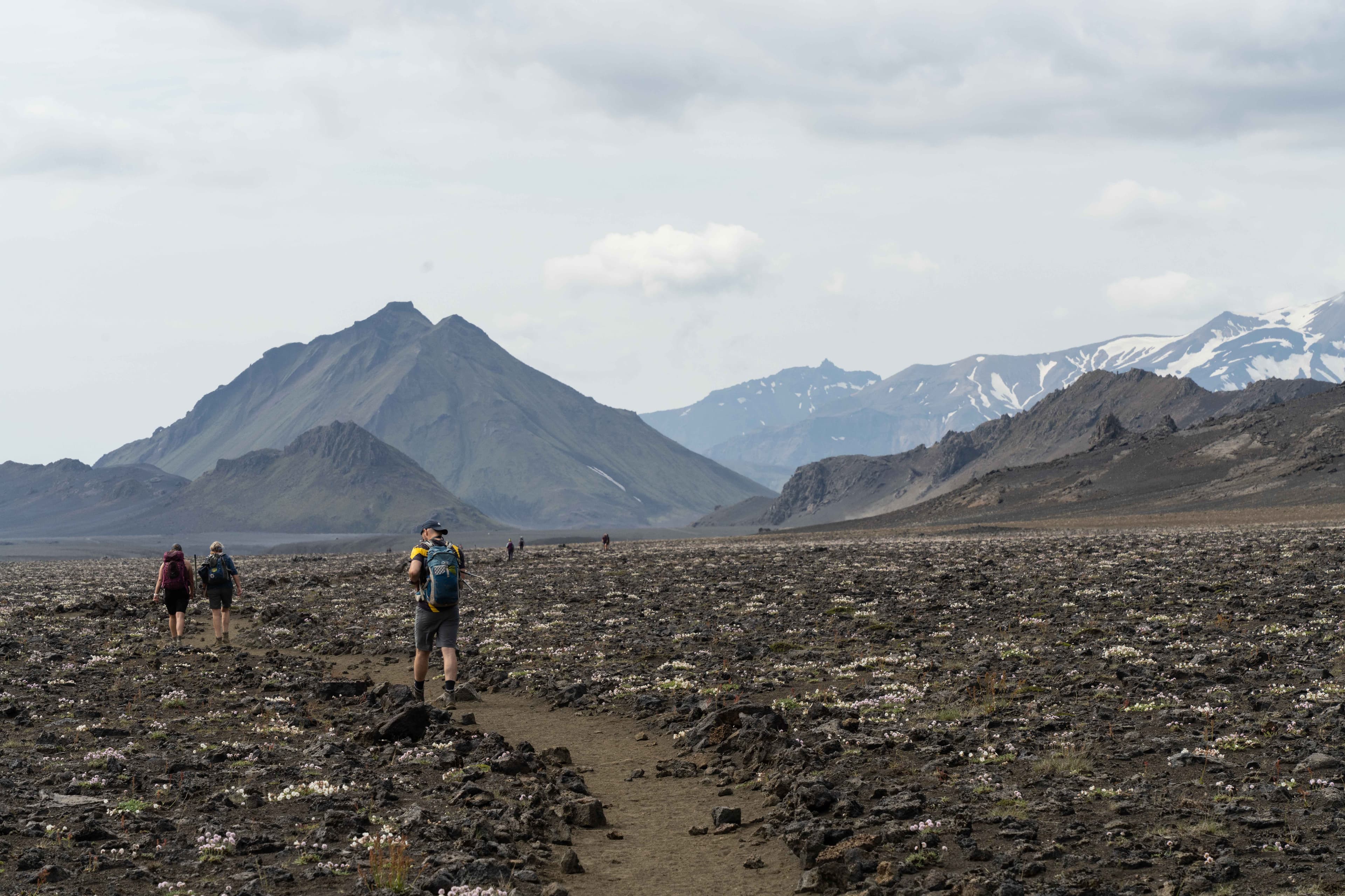 Trekking the Highlands 29