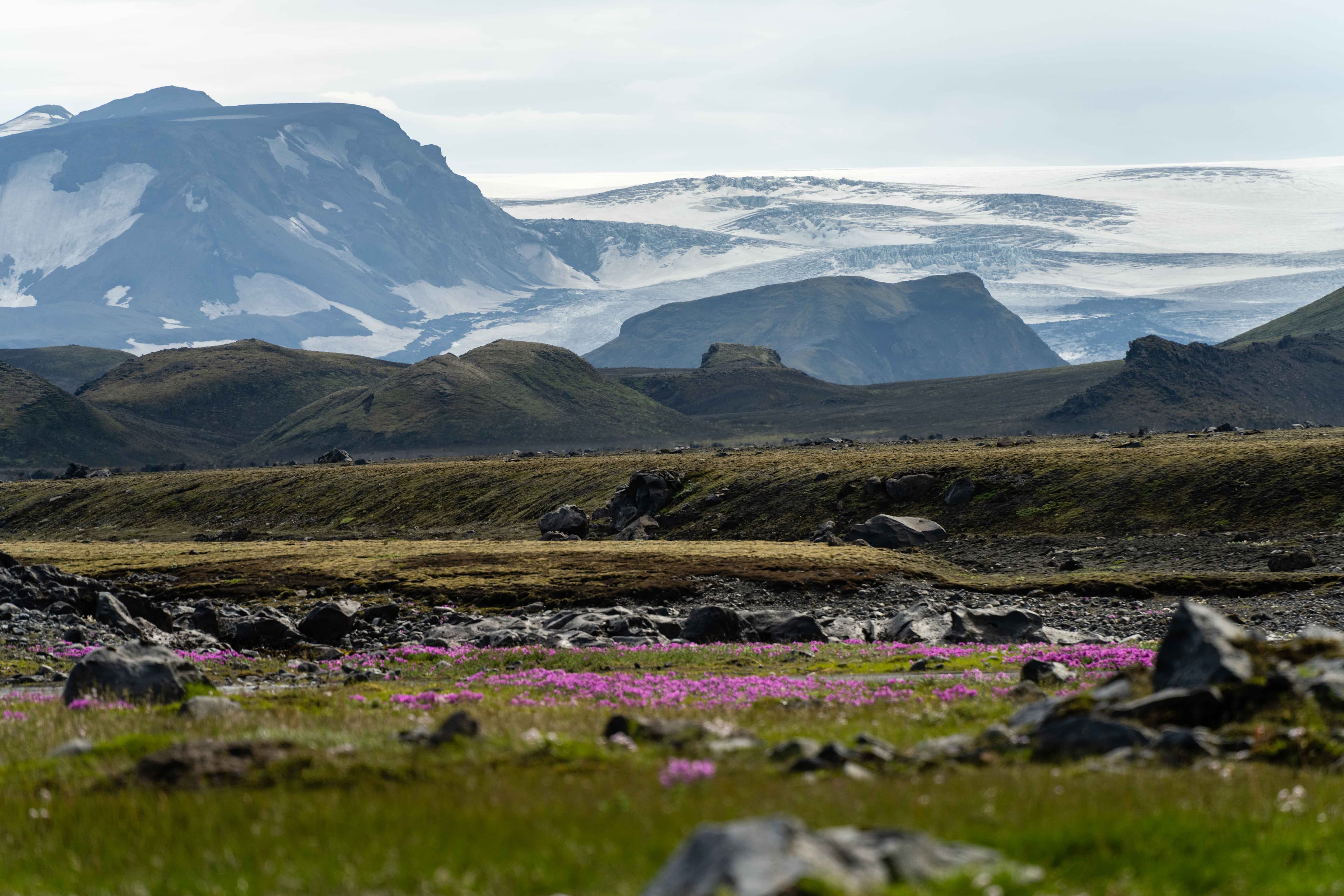 Trekking the Highlands 31