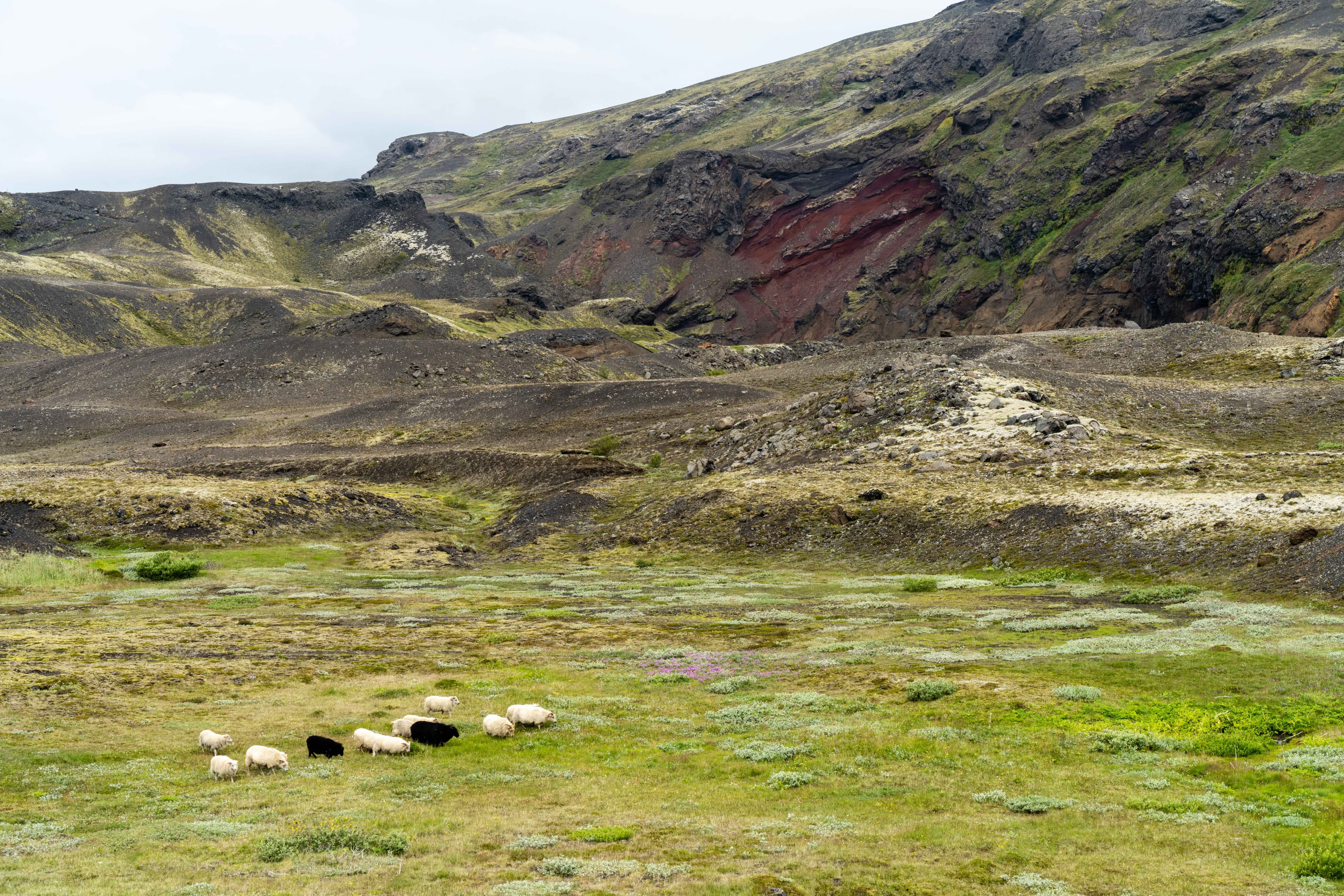 Trekking the Highlands 40