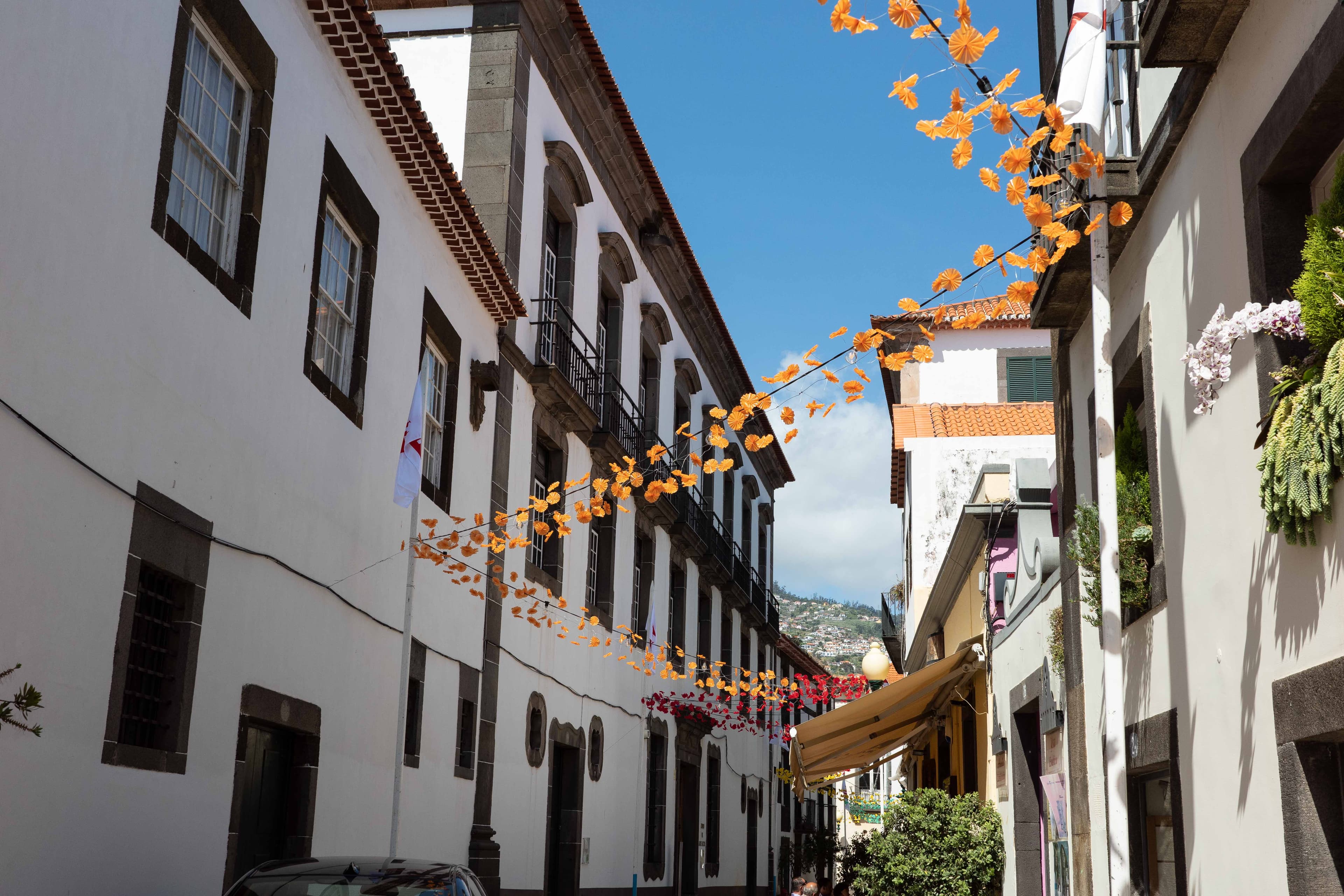 Funchal Flower Festival 05