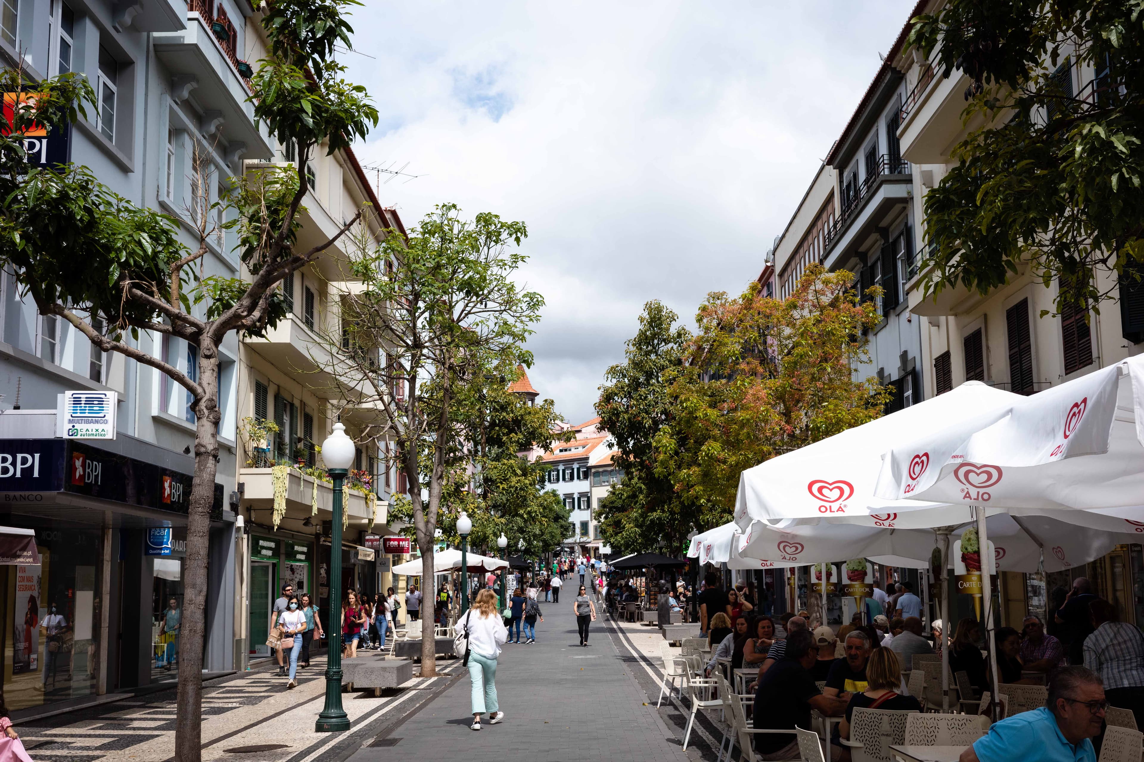 Funchal Flower Festival 15