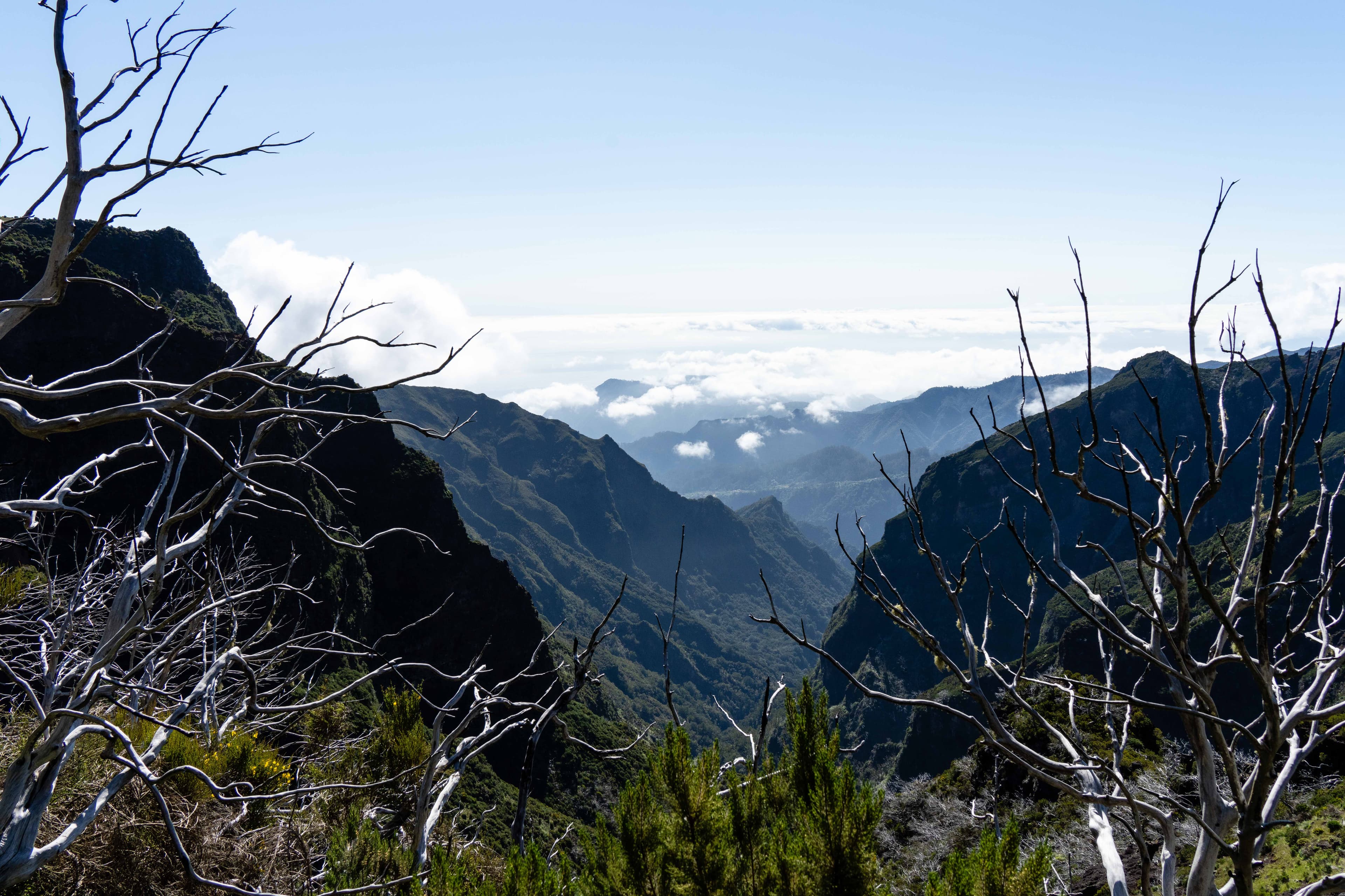 Madeira Landscapes 12