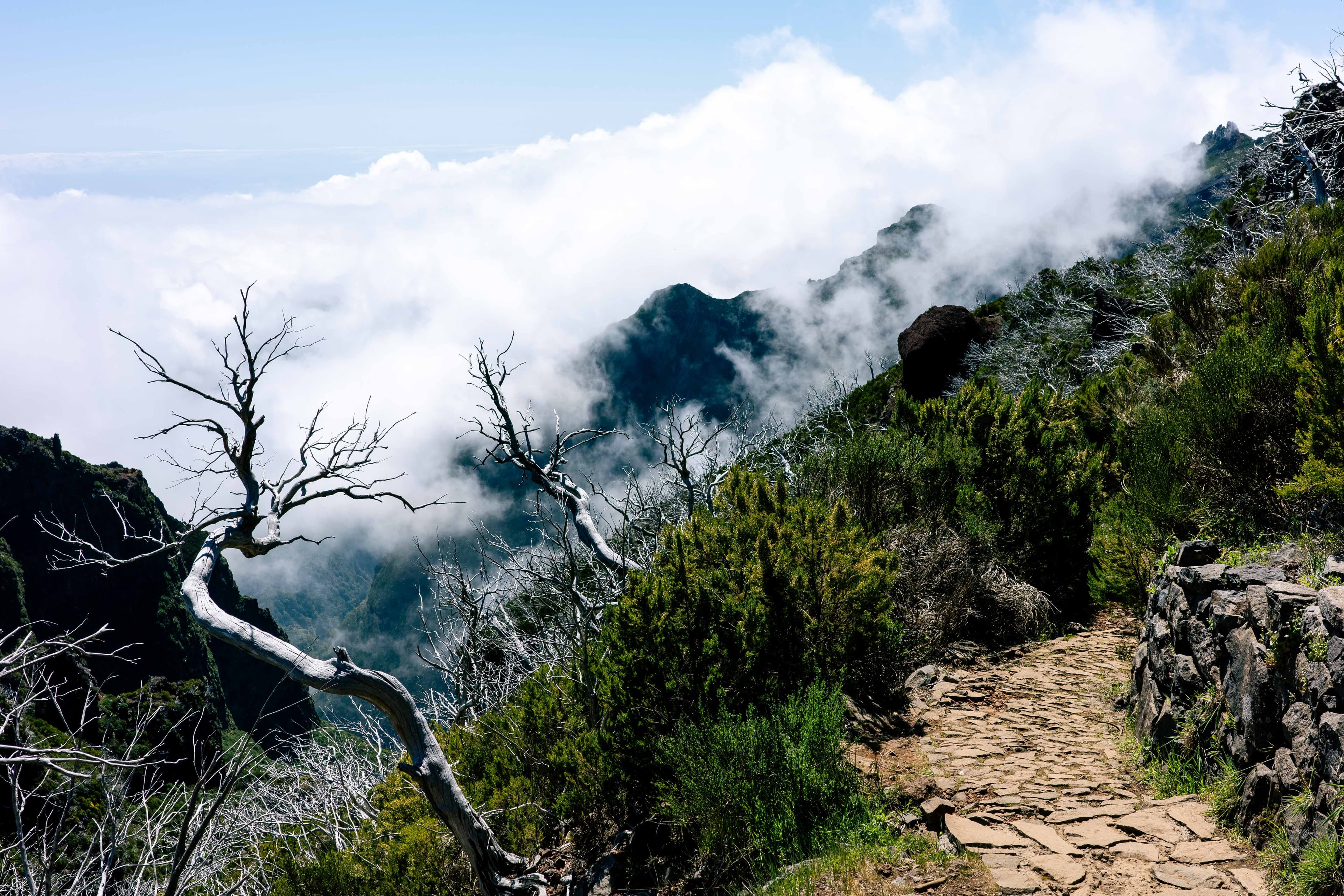 Madeira Landscapes 13