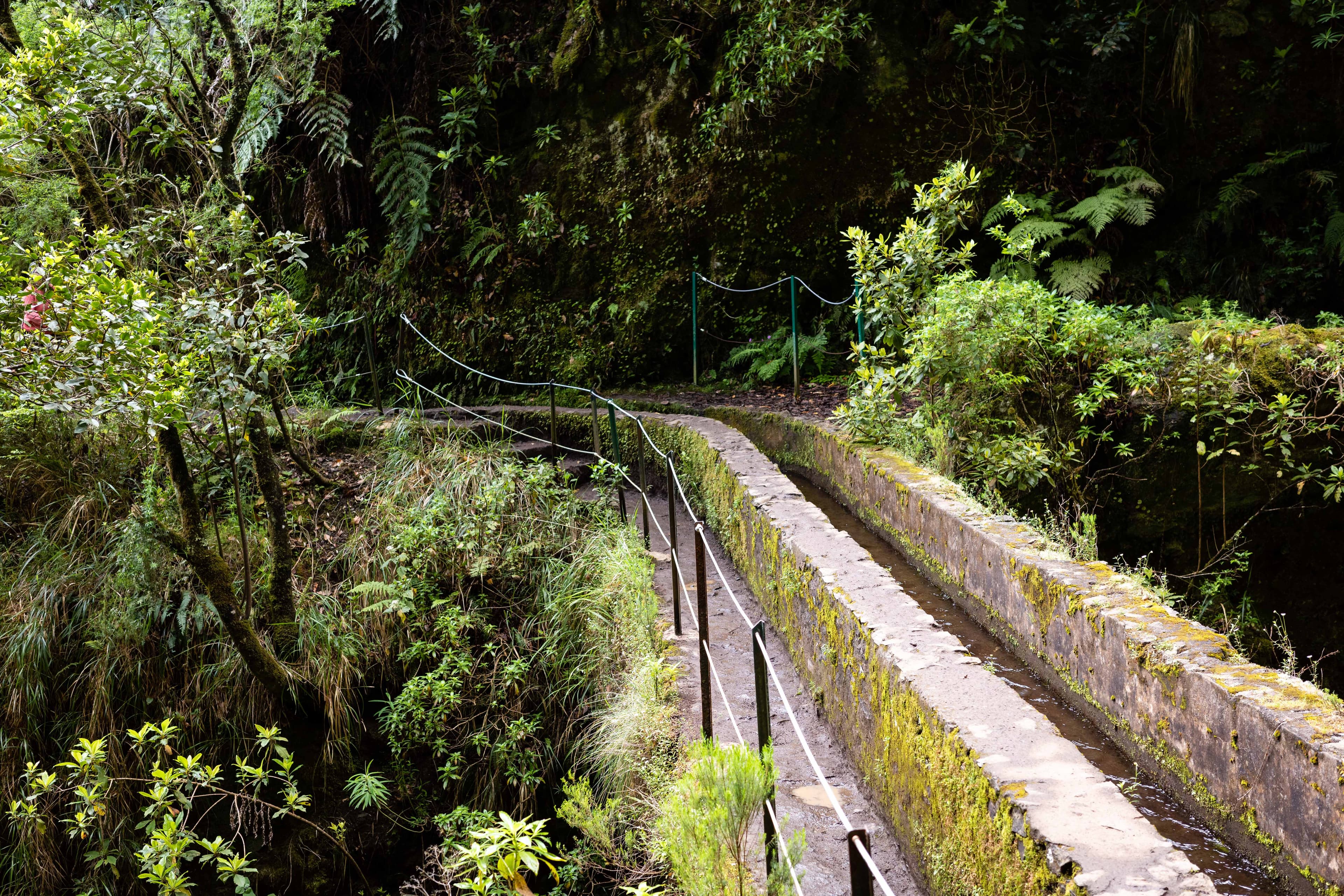 Madeira Landscapes 32