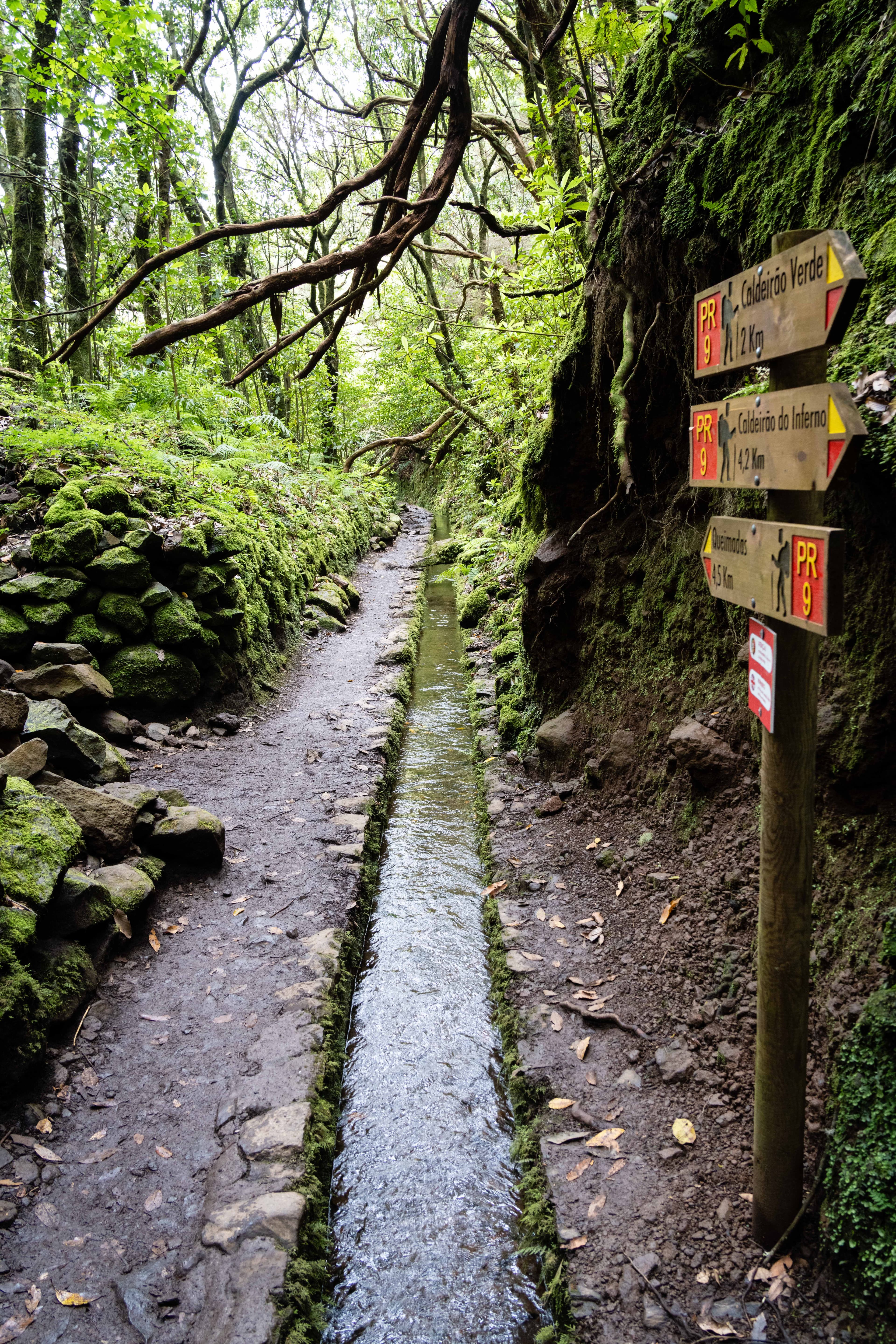 Madeira Landscapes 36