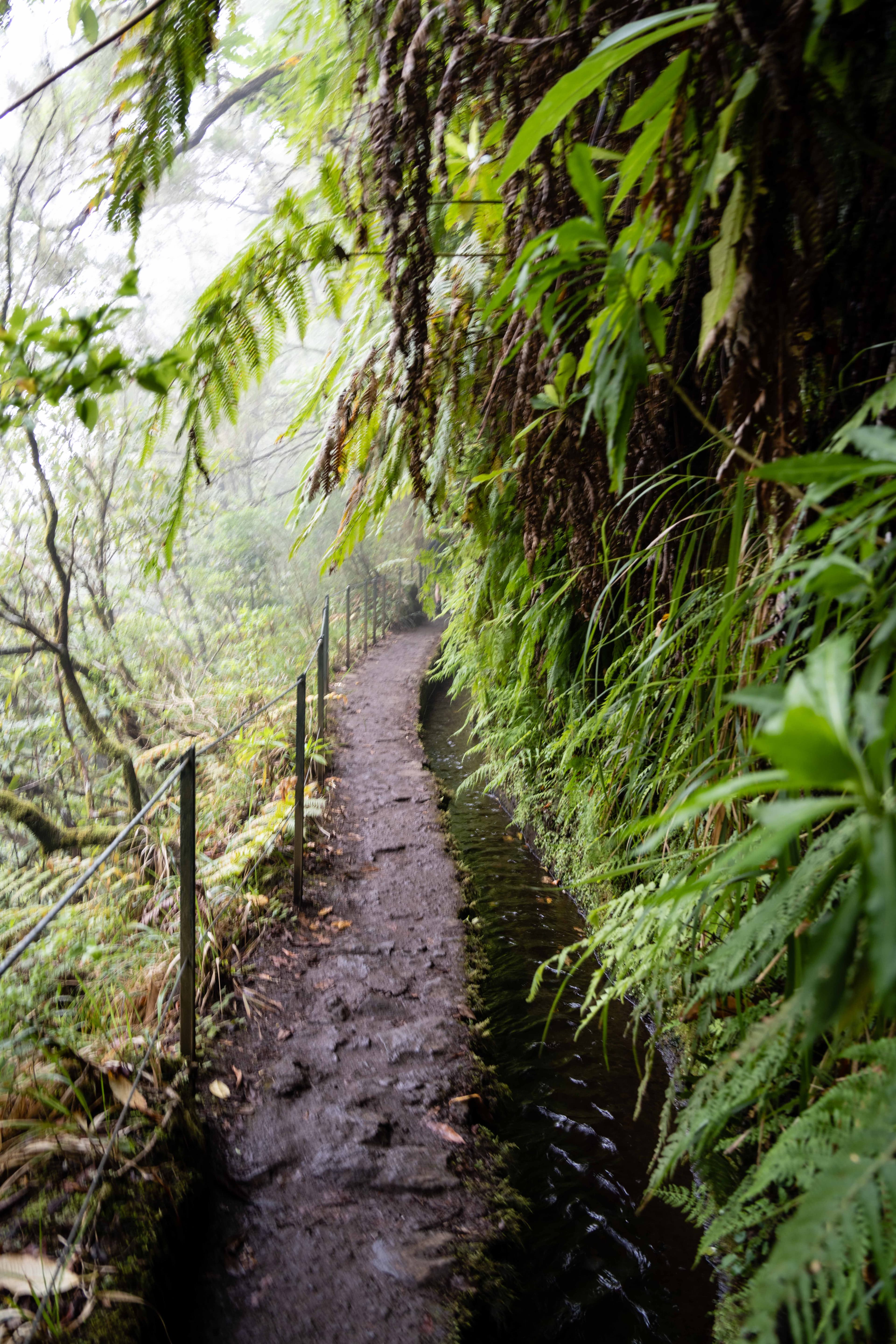 Madeira Landscapes 37
