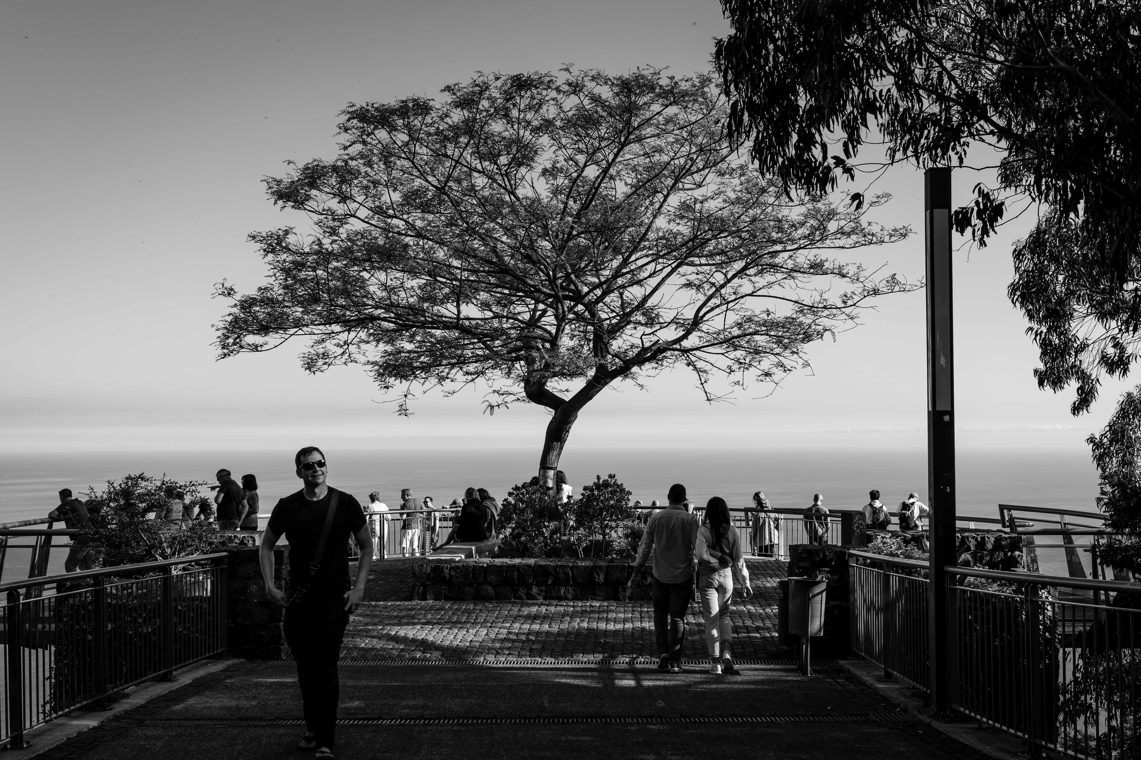 Madeira Landscapes 52