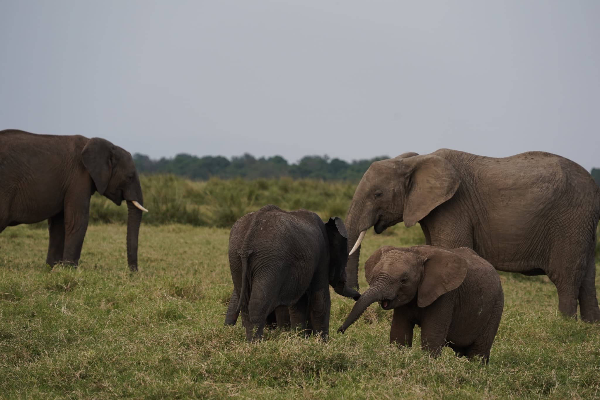 Masai Mara 27