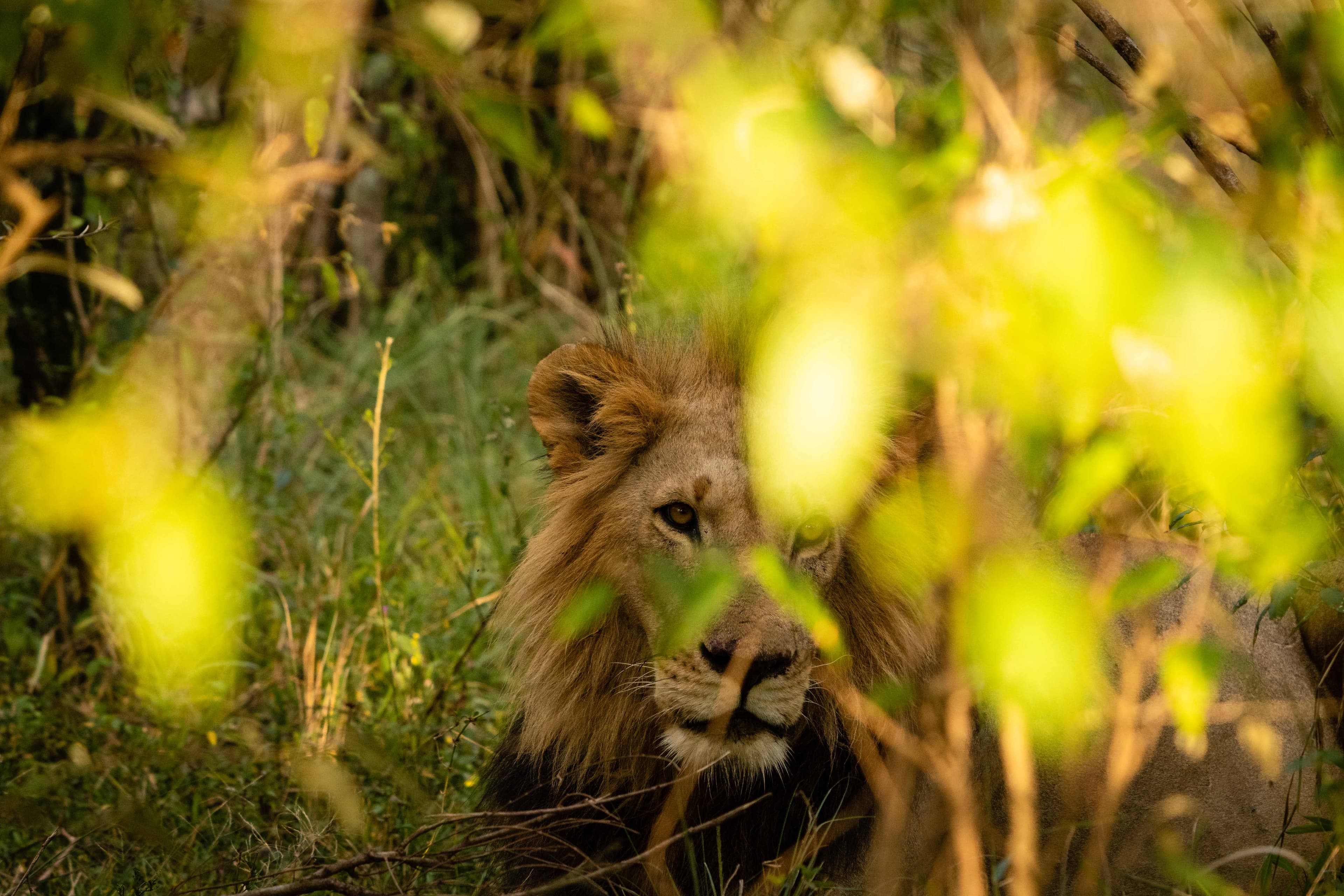 Mara North 05