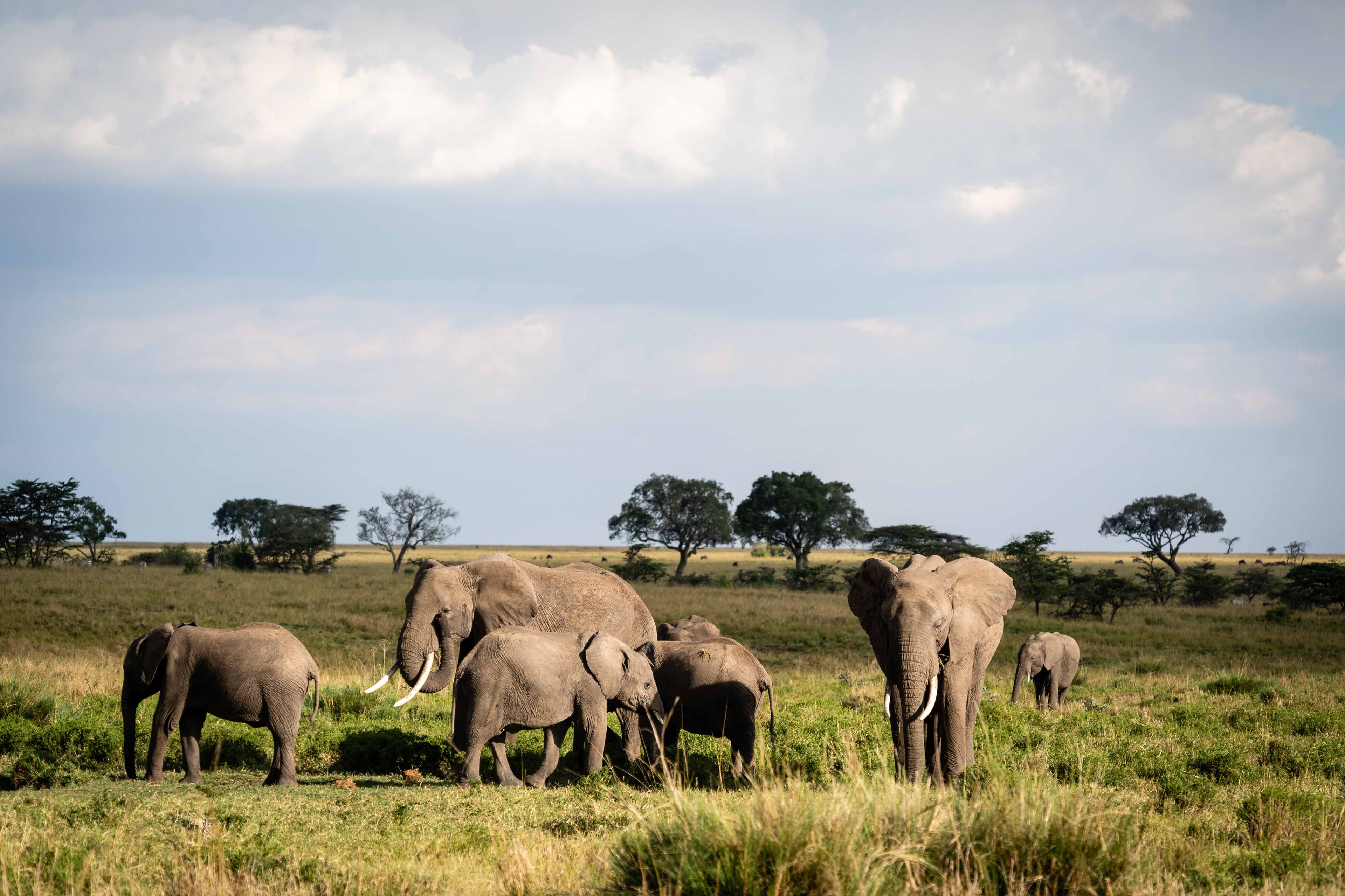 Mara North 21