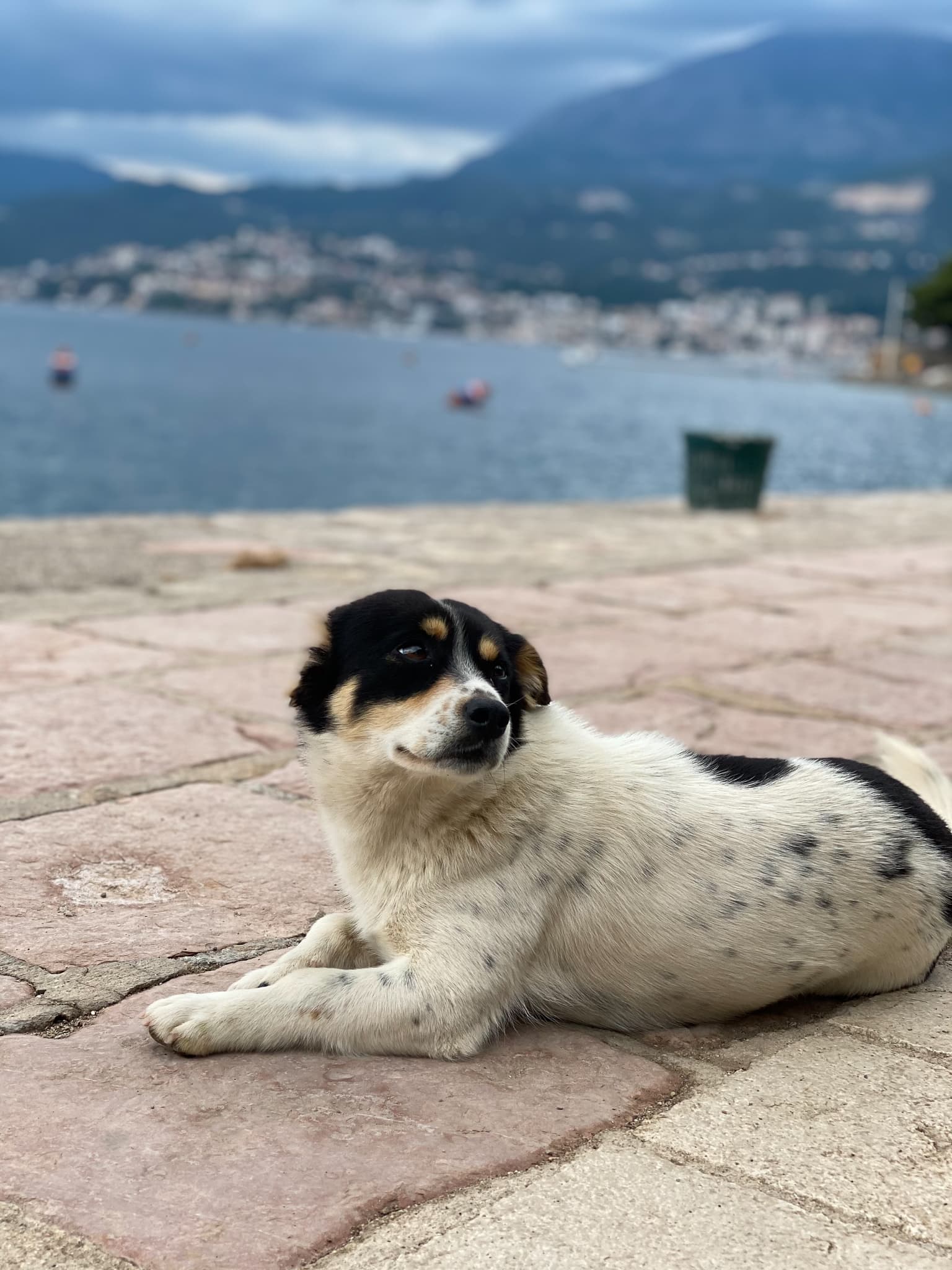Montenegro 04