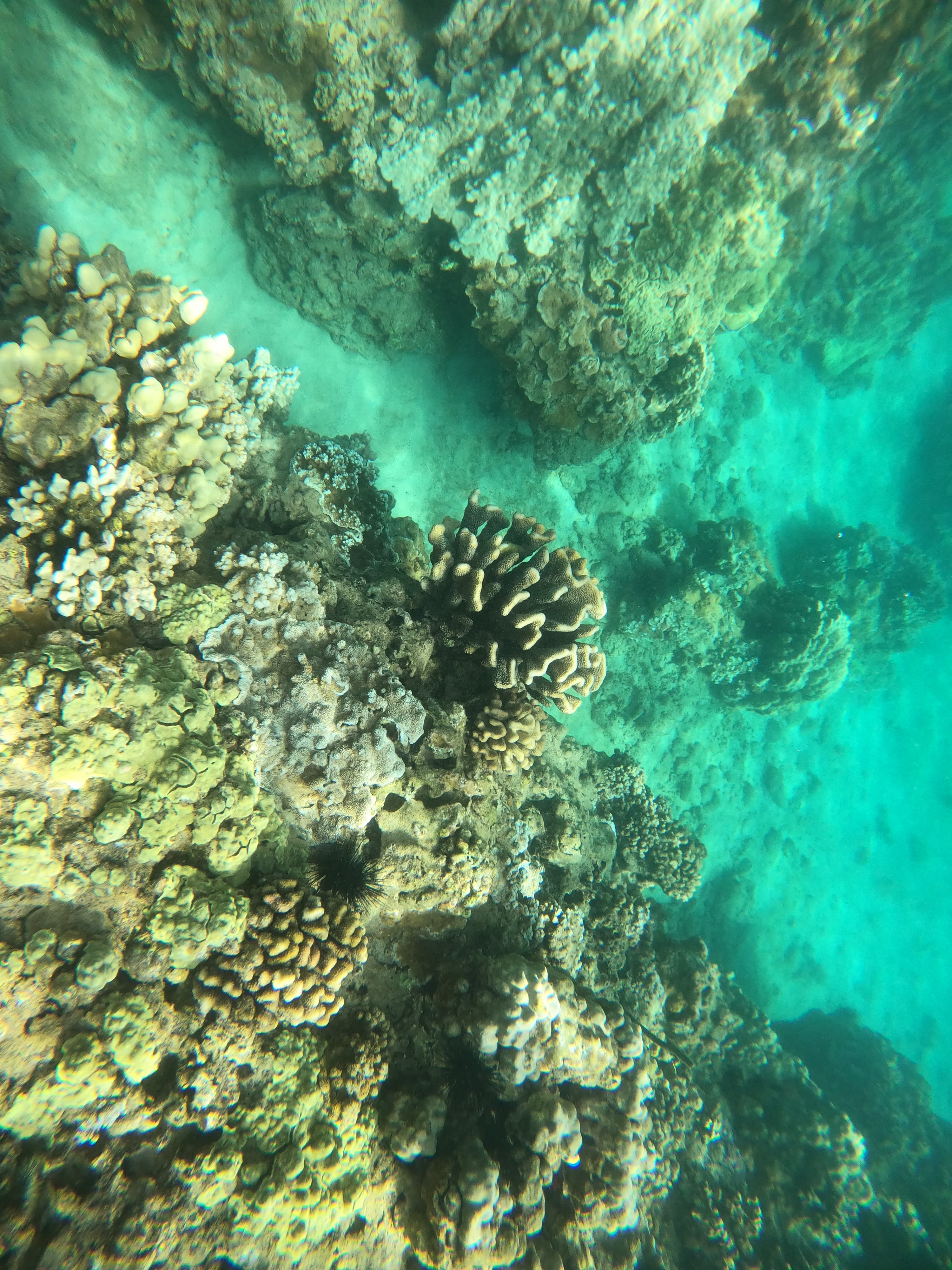 Napali Coast 15