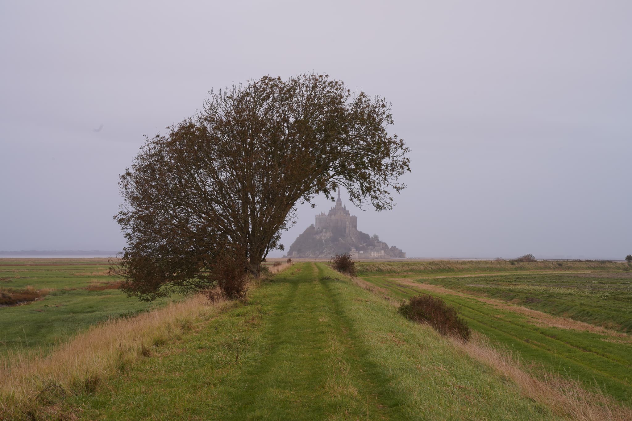 Normandy 02