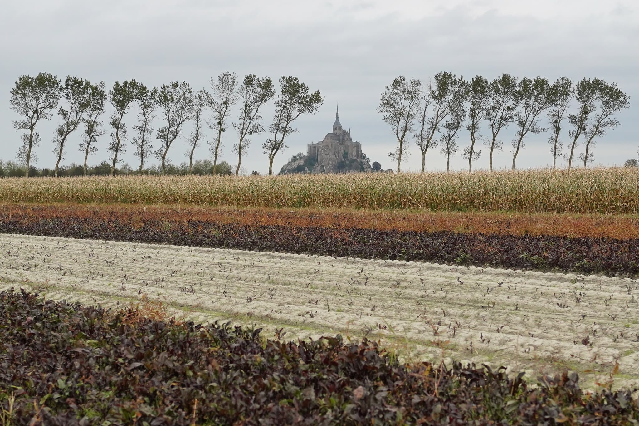Normandy 04