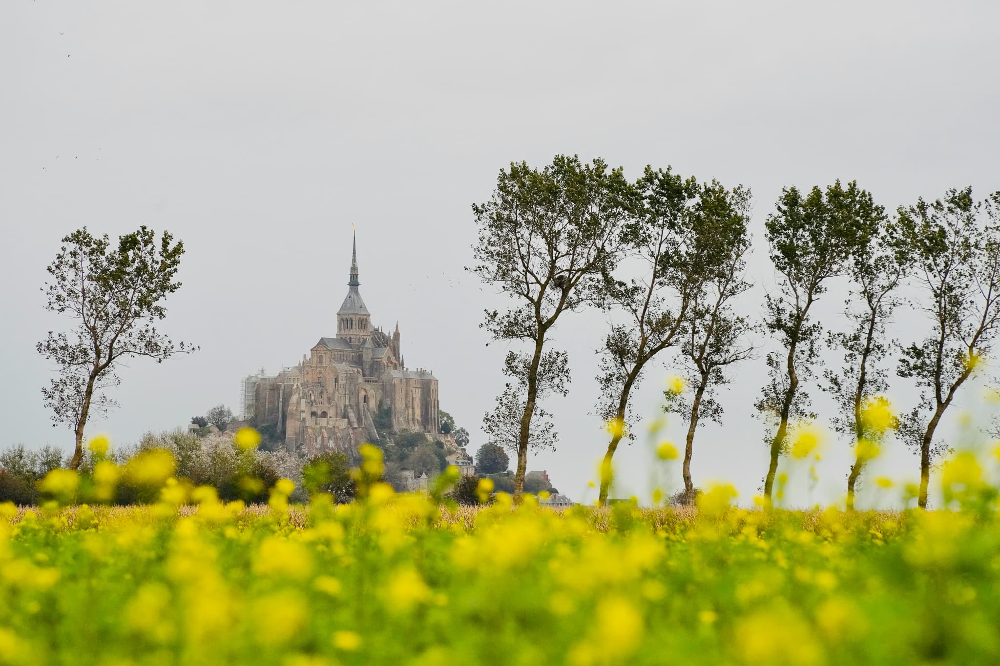 Normandy 08
