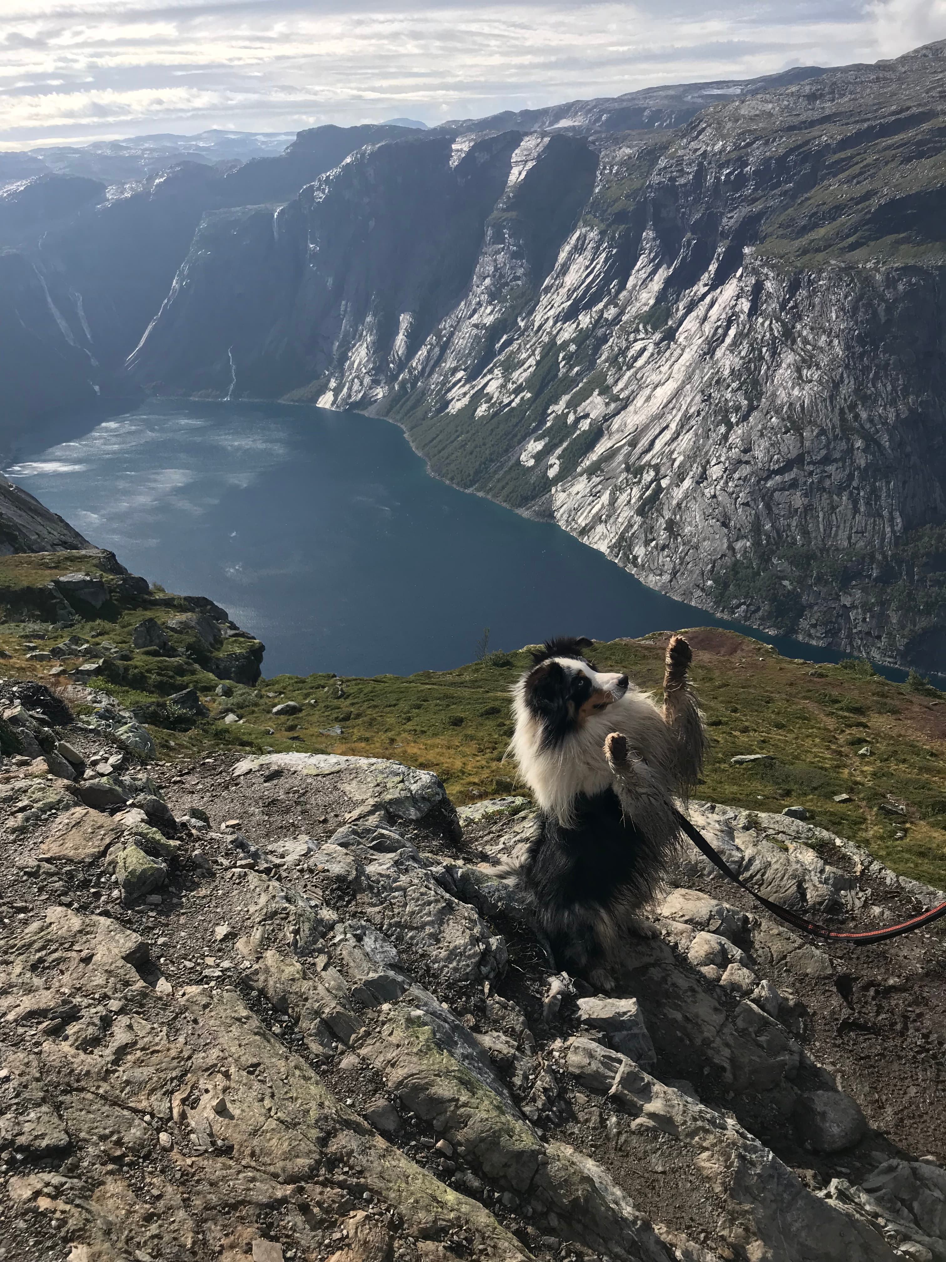 Norway 03