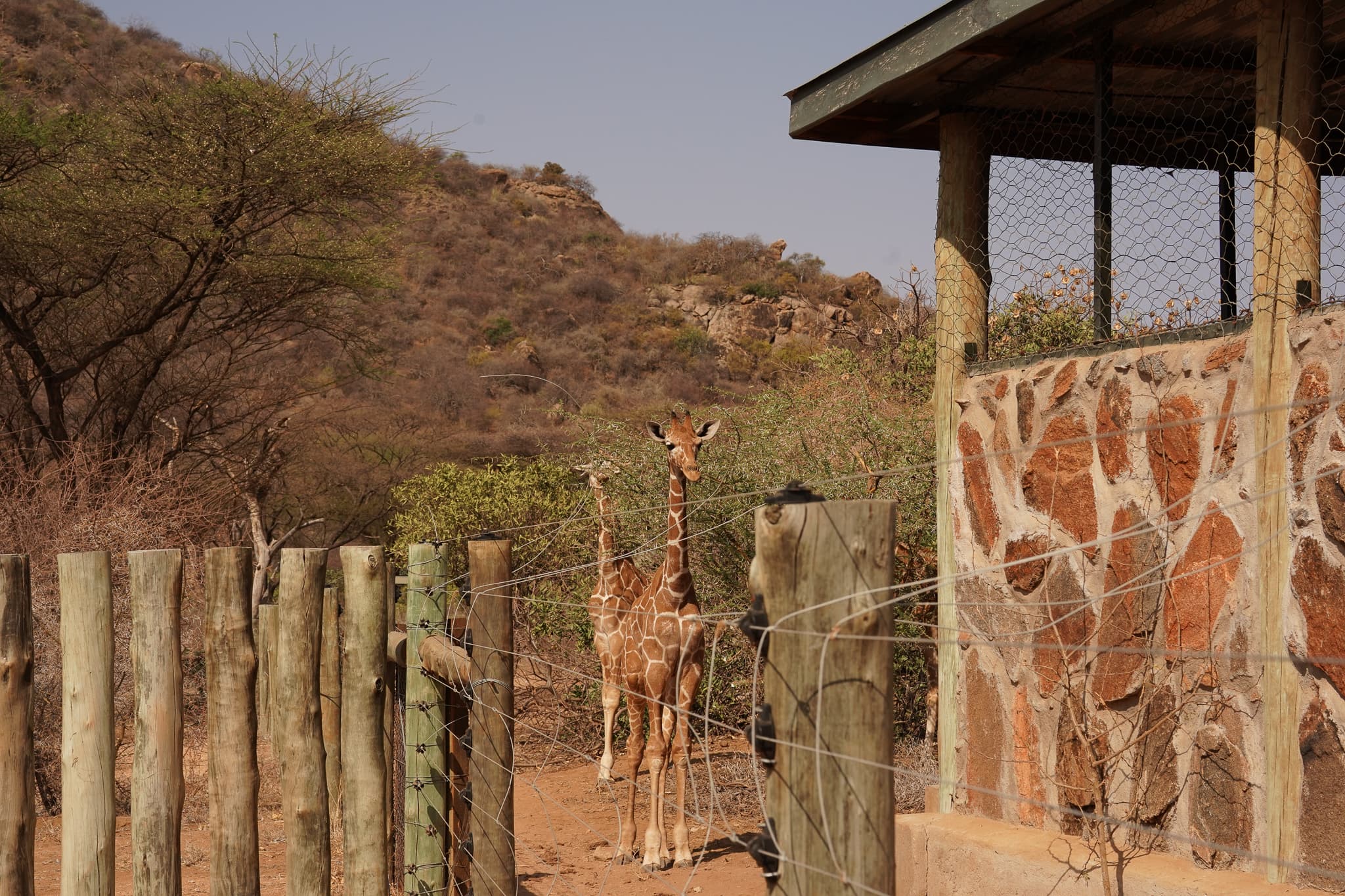 Reteti Sanctuary 12