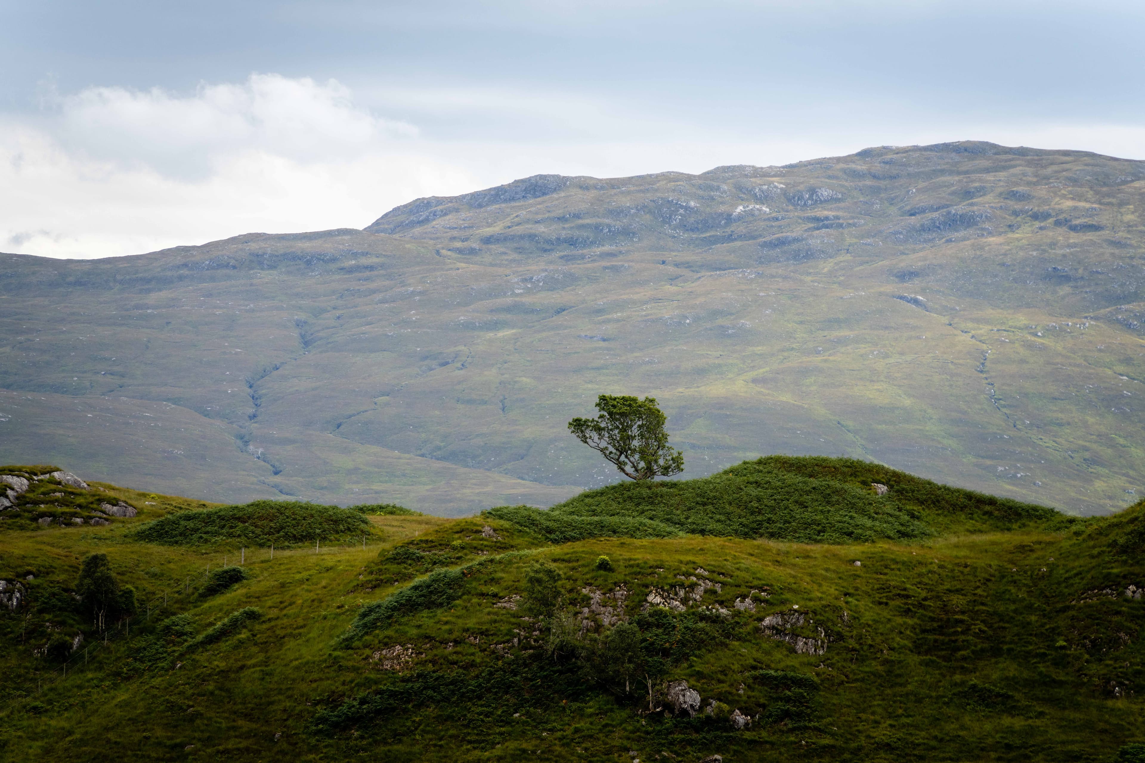 Scottish Highlands 01