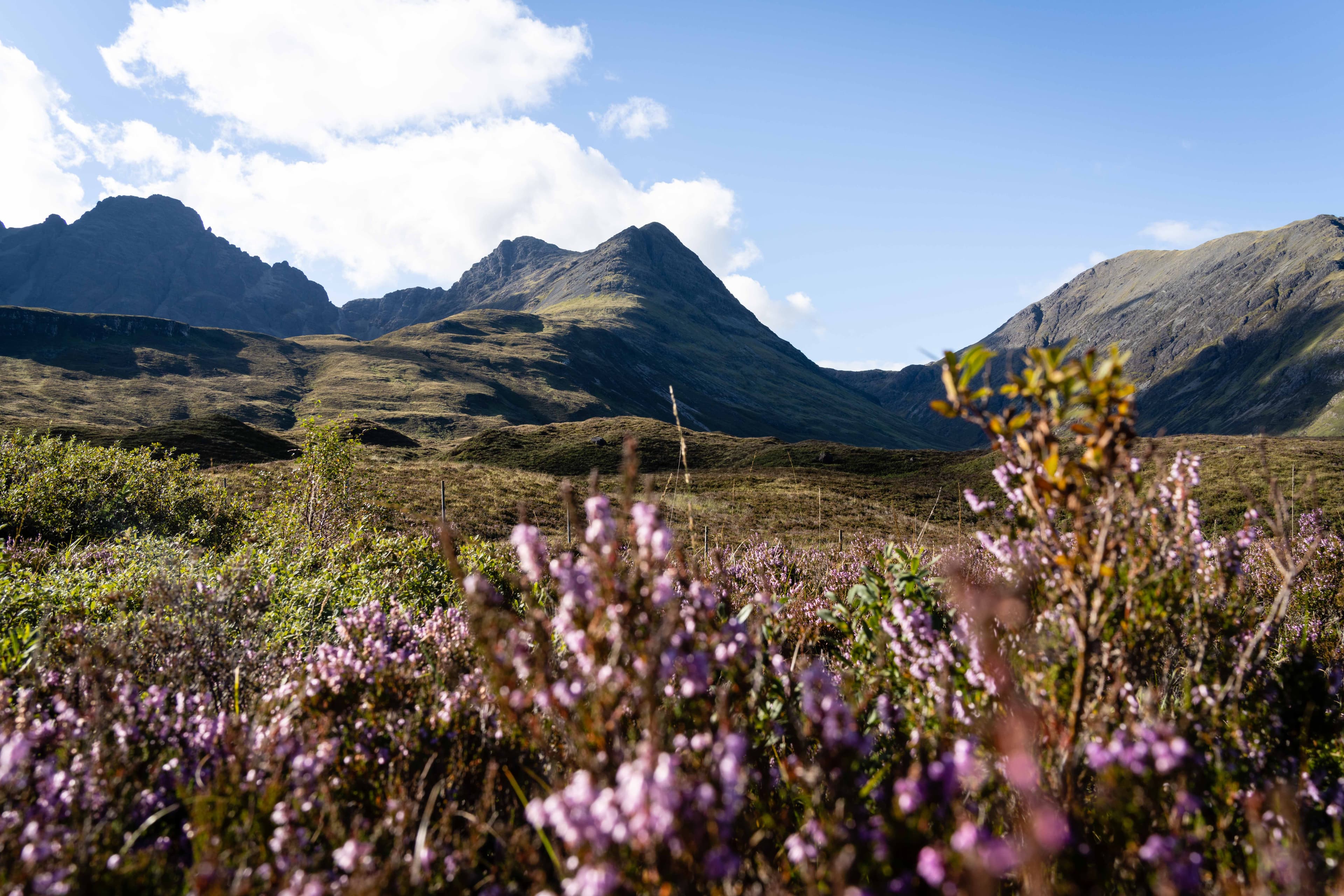 Scottish Highlands 08