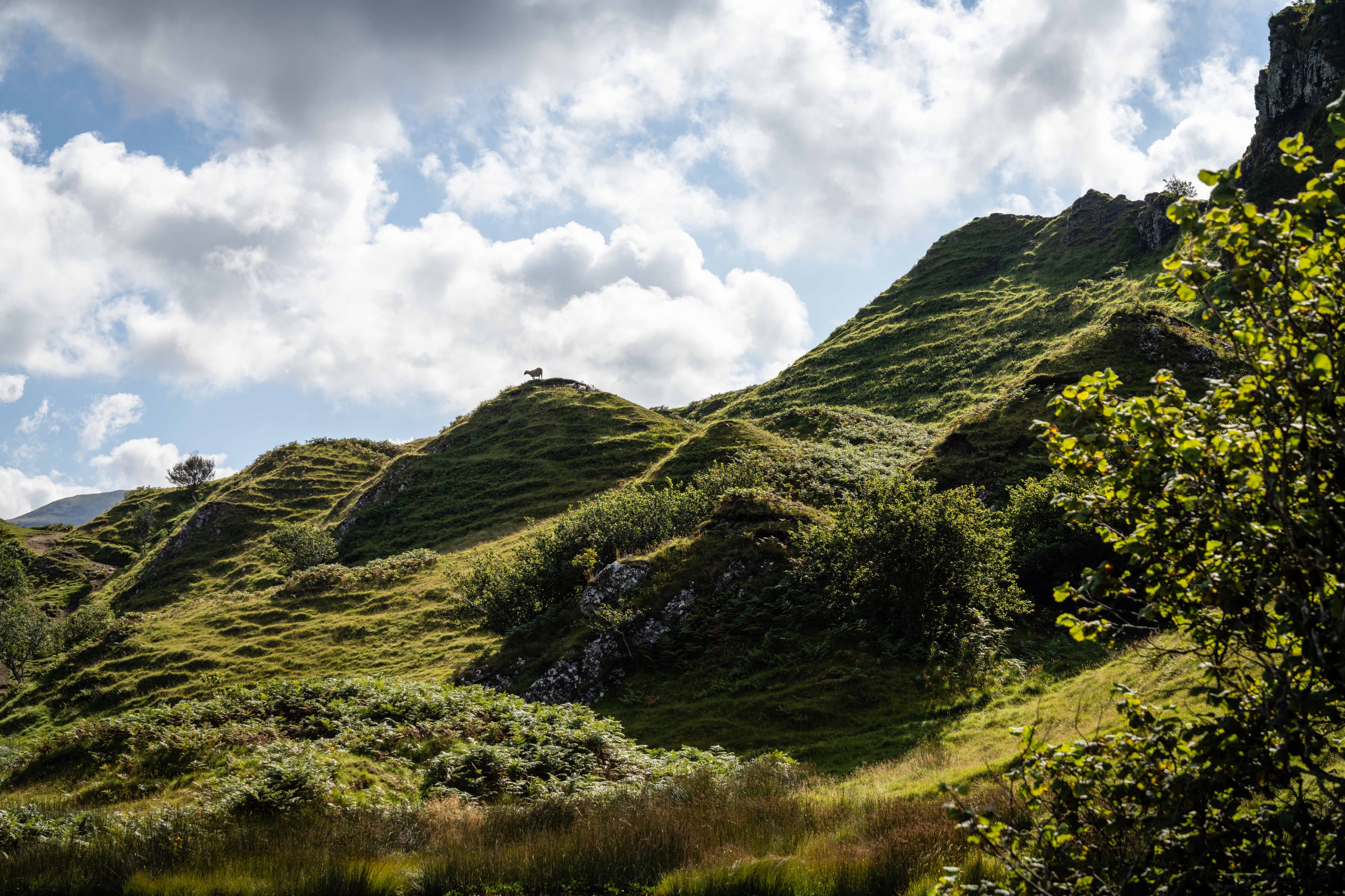 Scottish Highlands 13