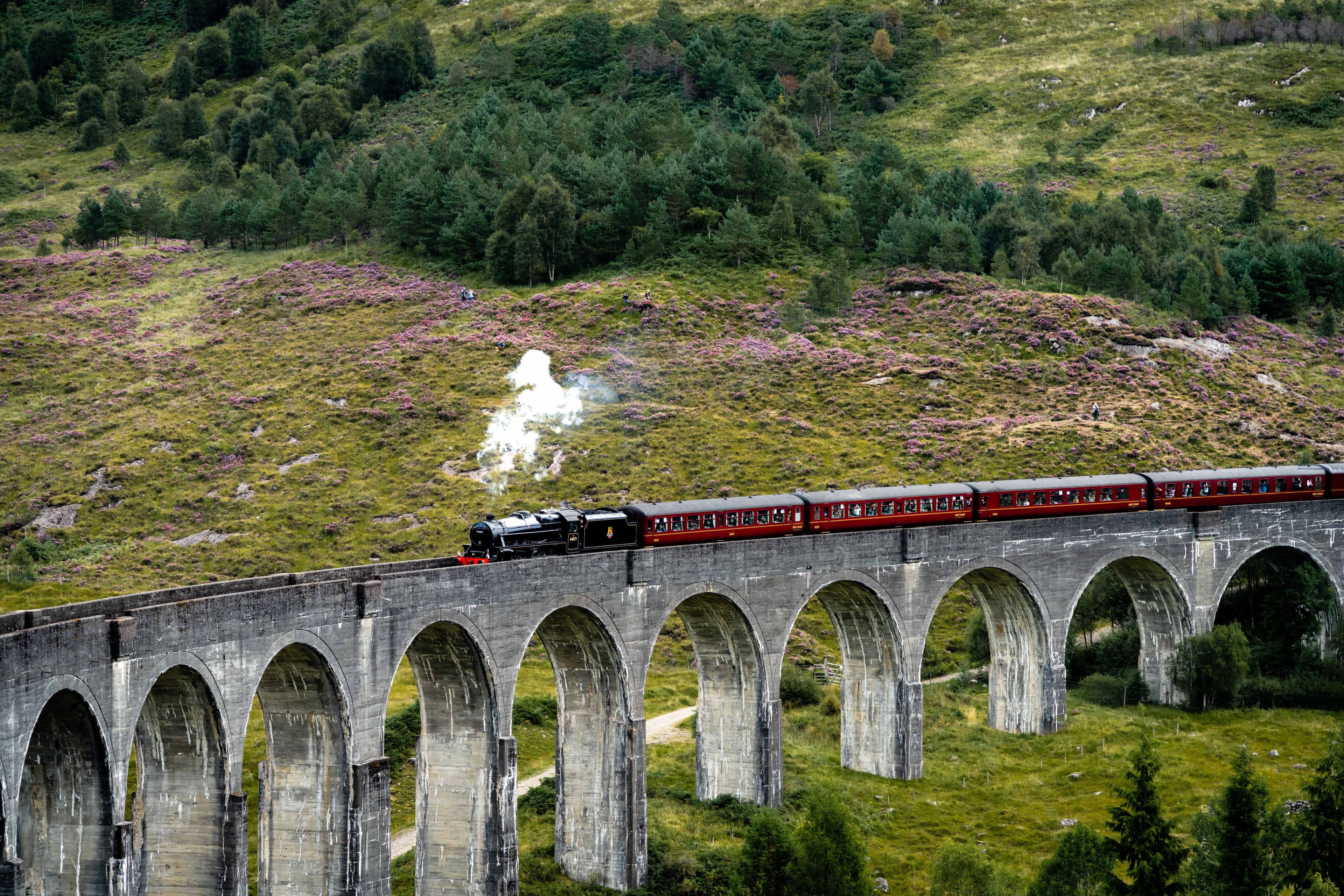 Scottish Highlands 20