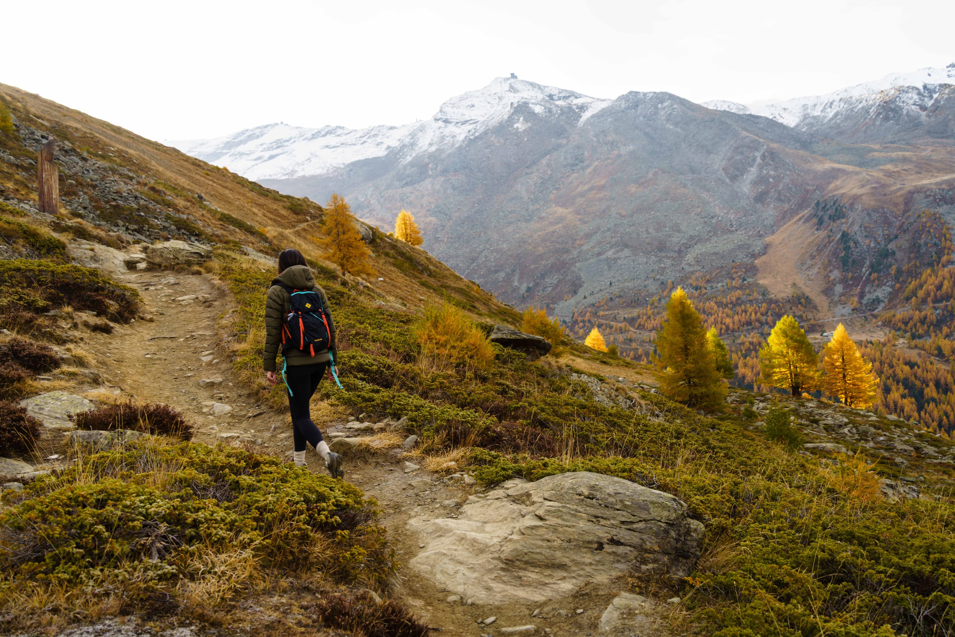 Swiss Alps 02