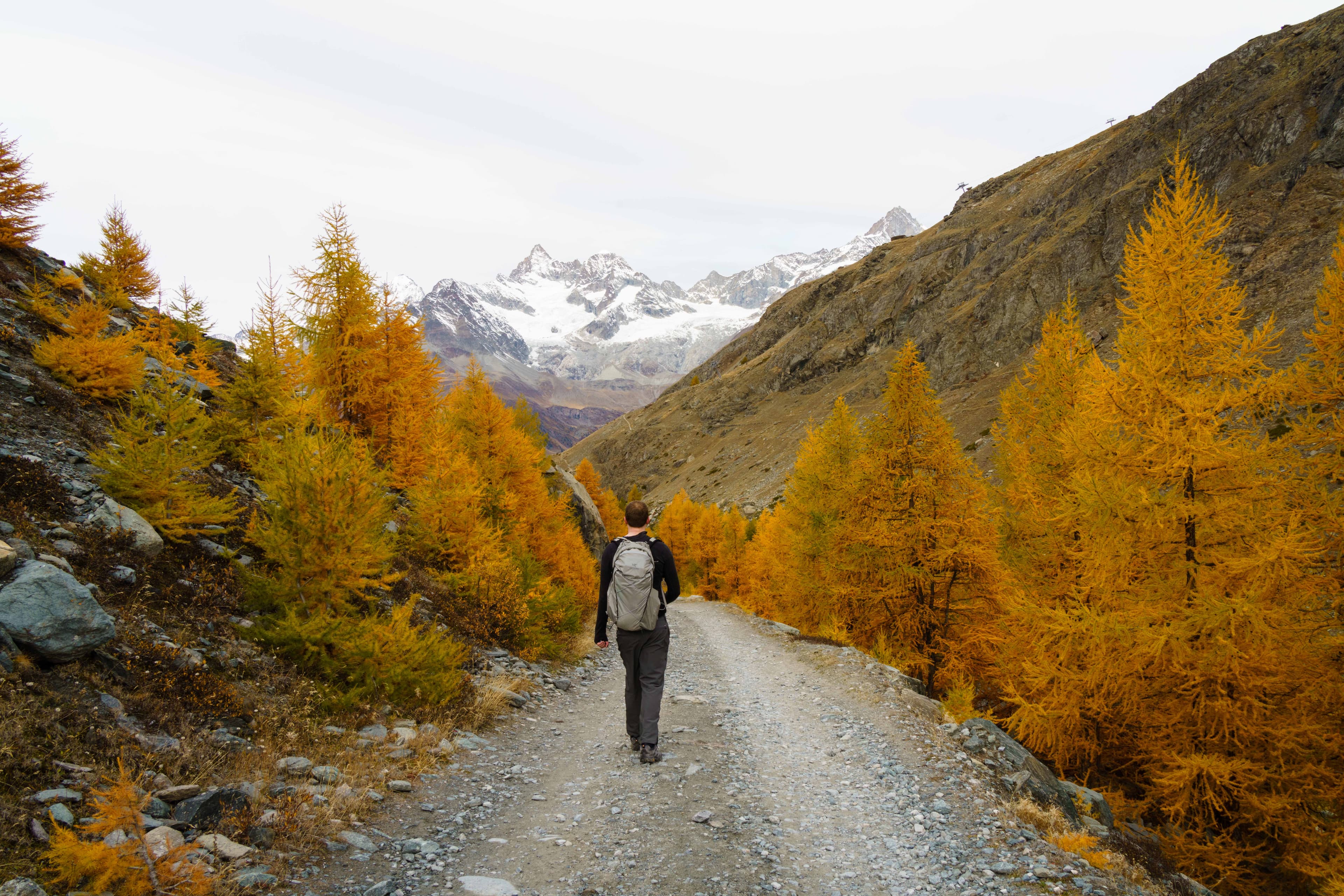 Swiss Alps 09