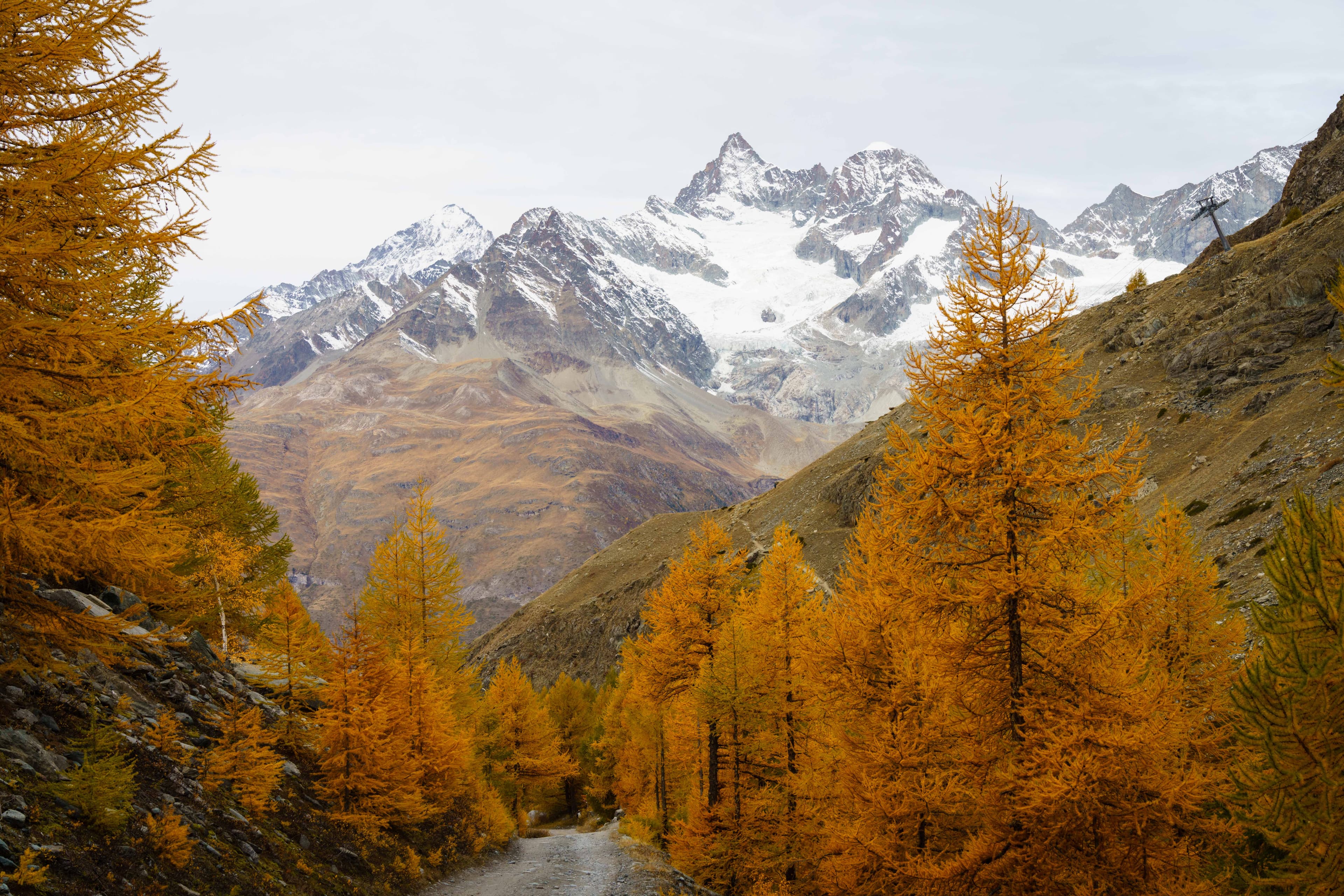 Swiss Alps 12