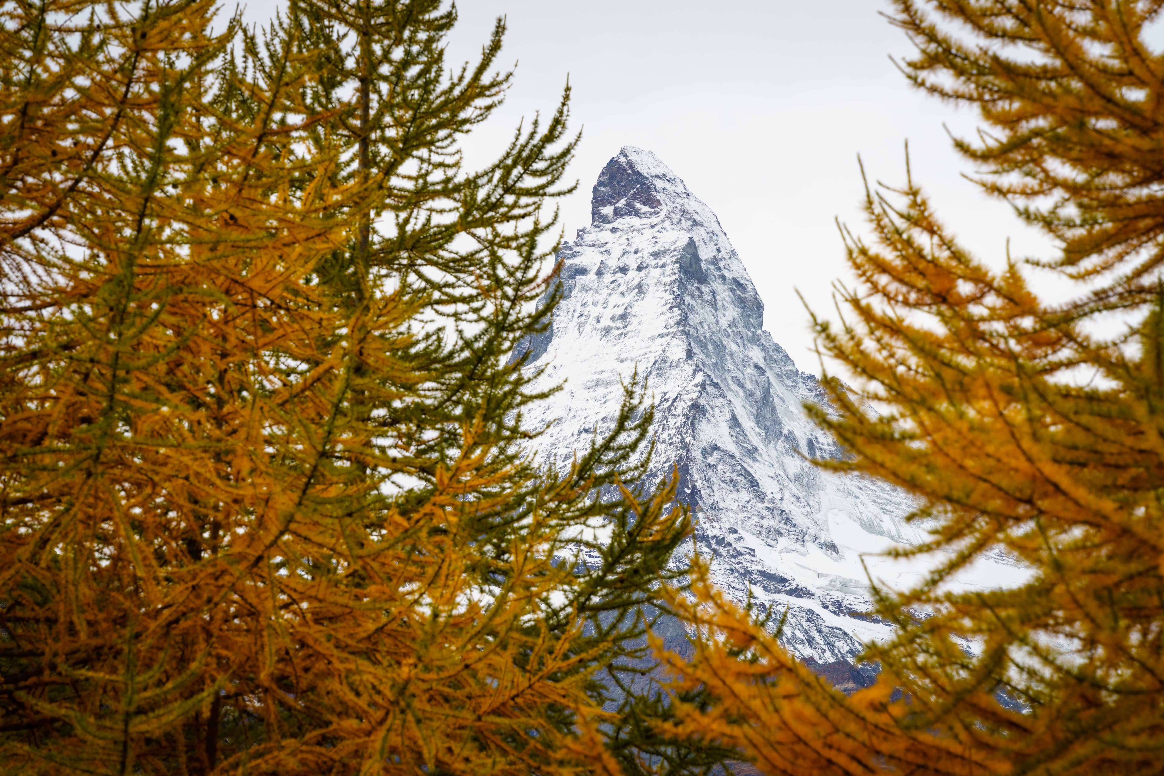 Swiss Alps 13