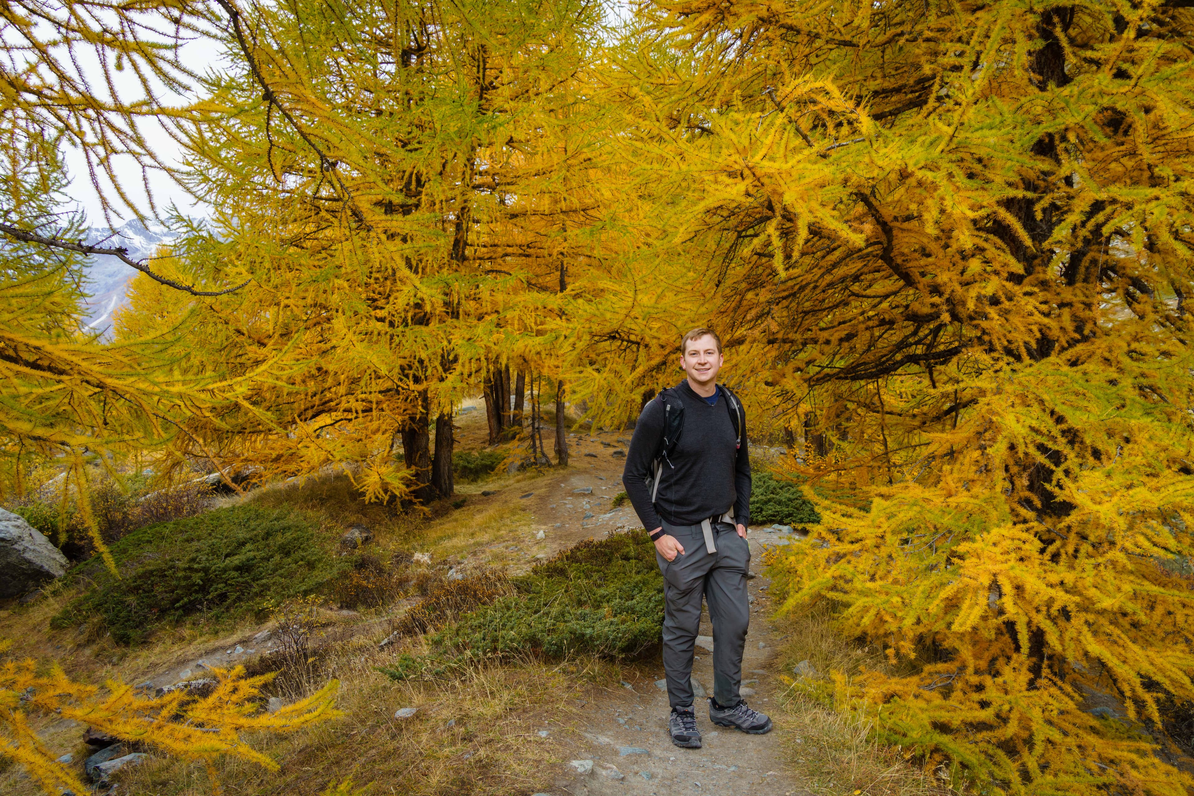 Swiss Alps 14