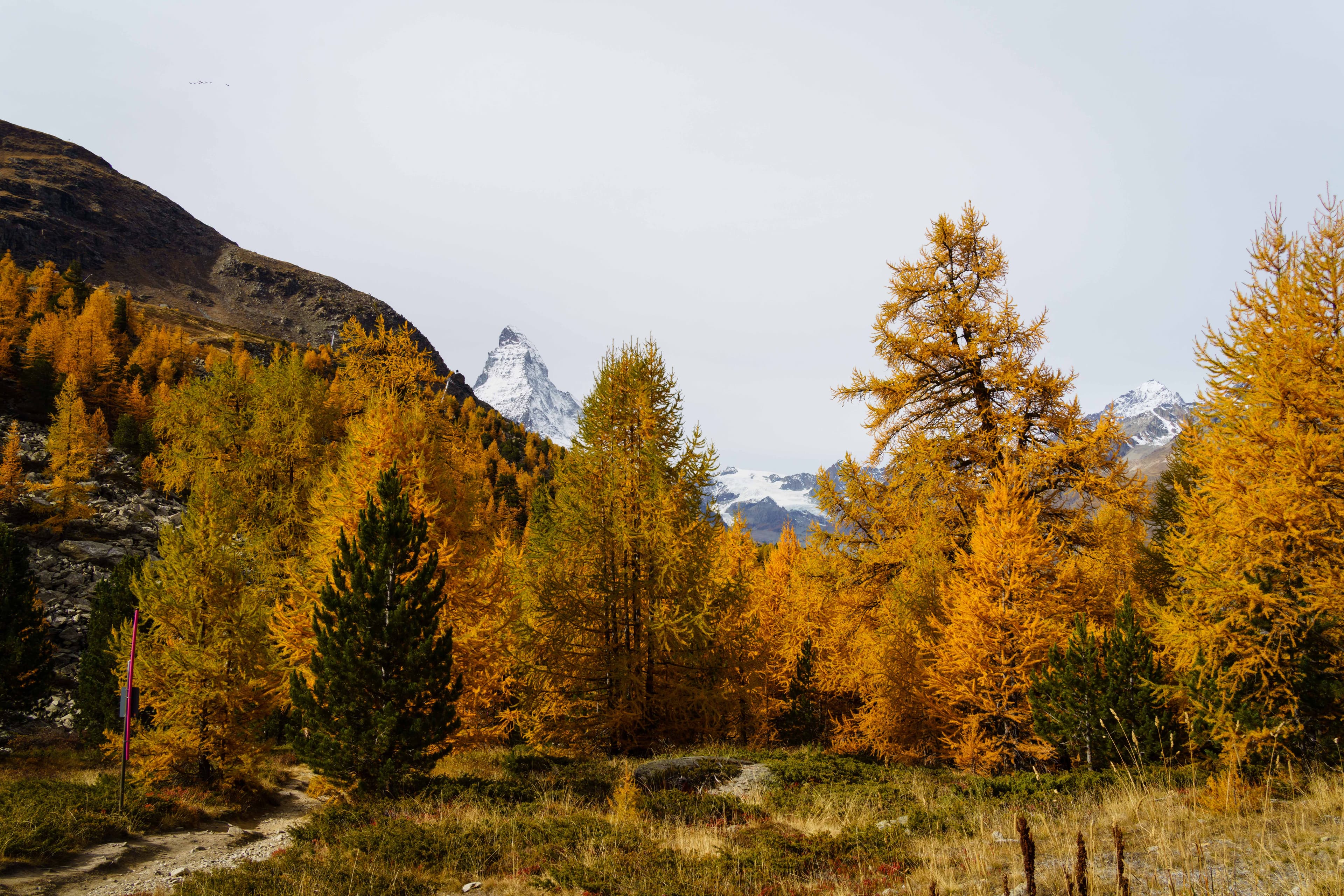 Swiss Alps 15