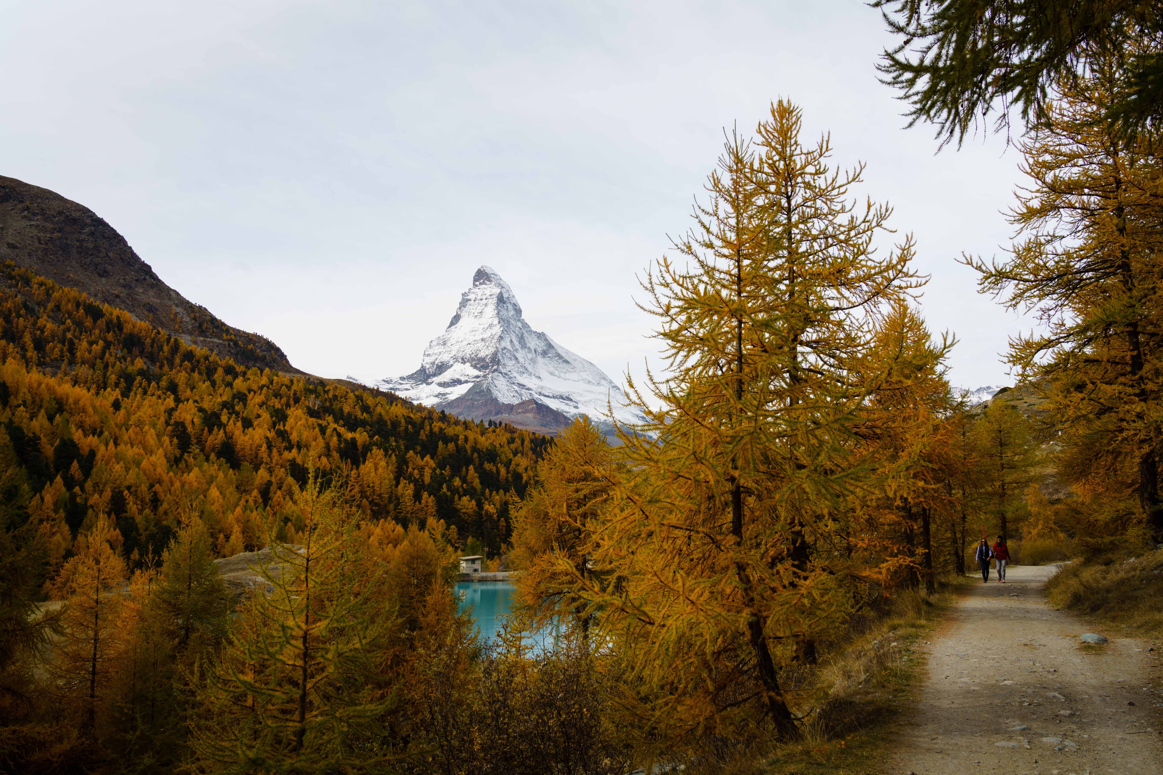 Swiss Alps 16