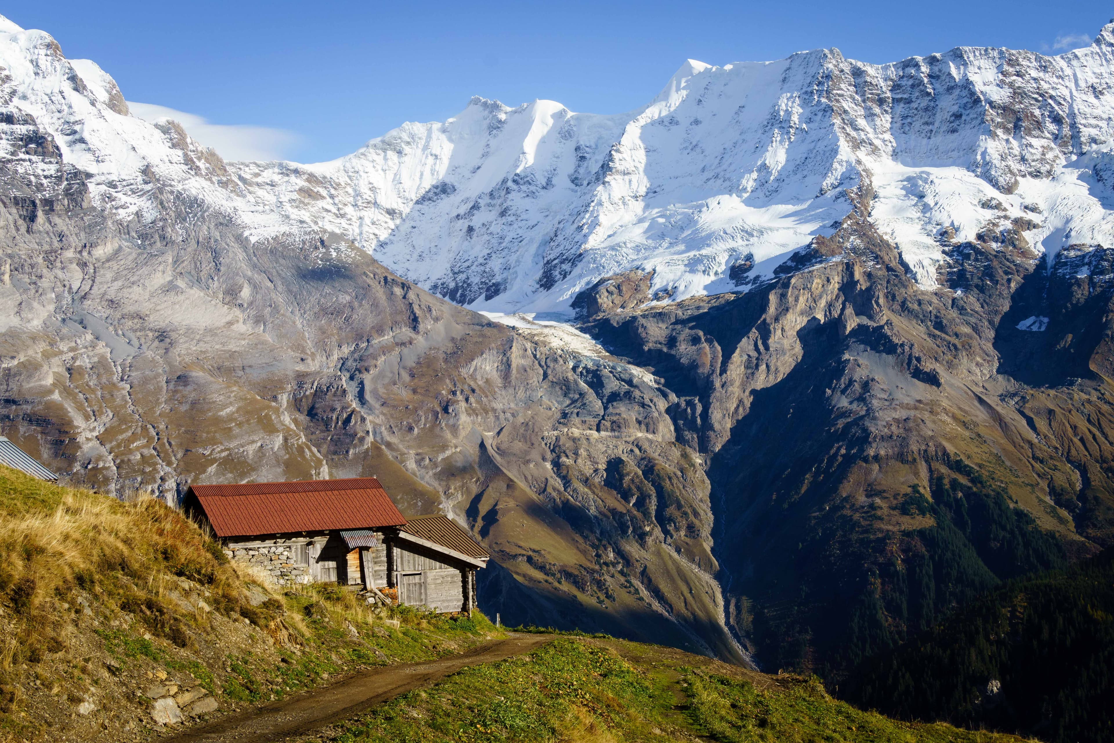 Swiss Alps 25