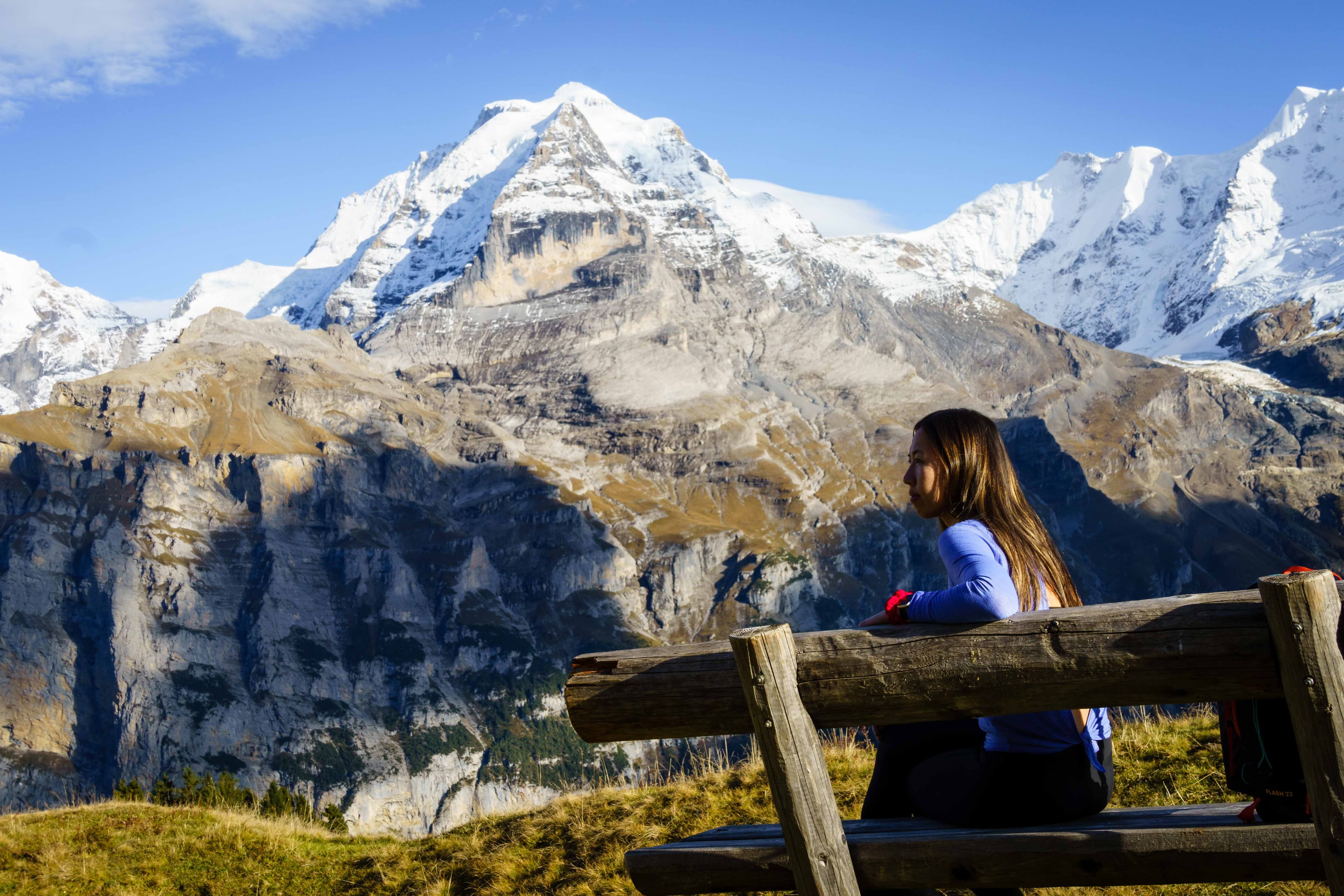 Swiss Alps 26