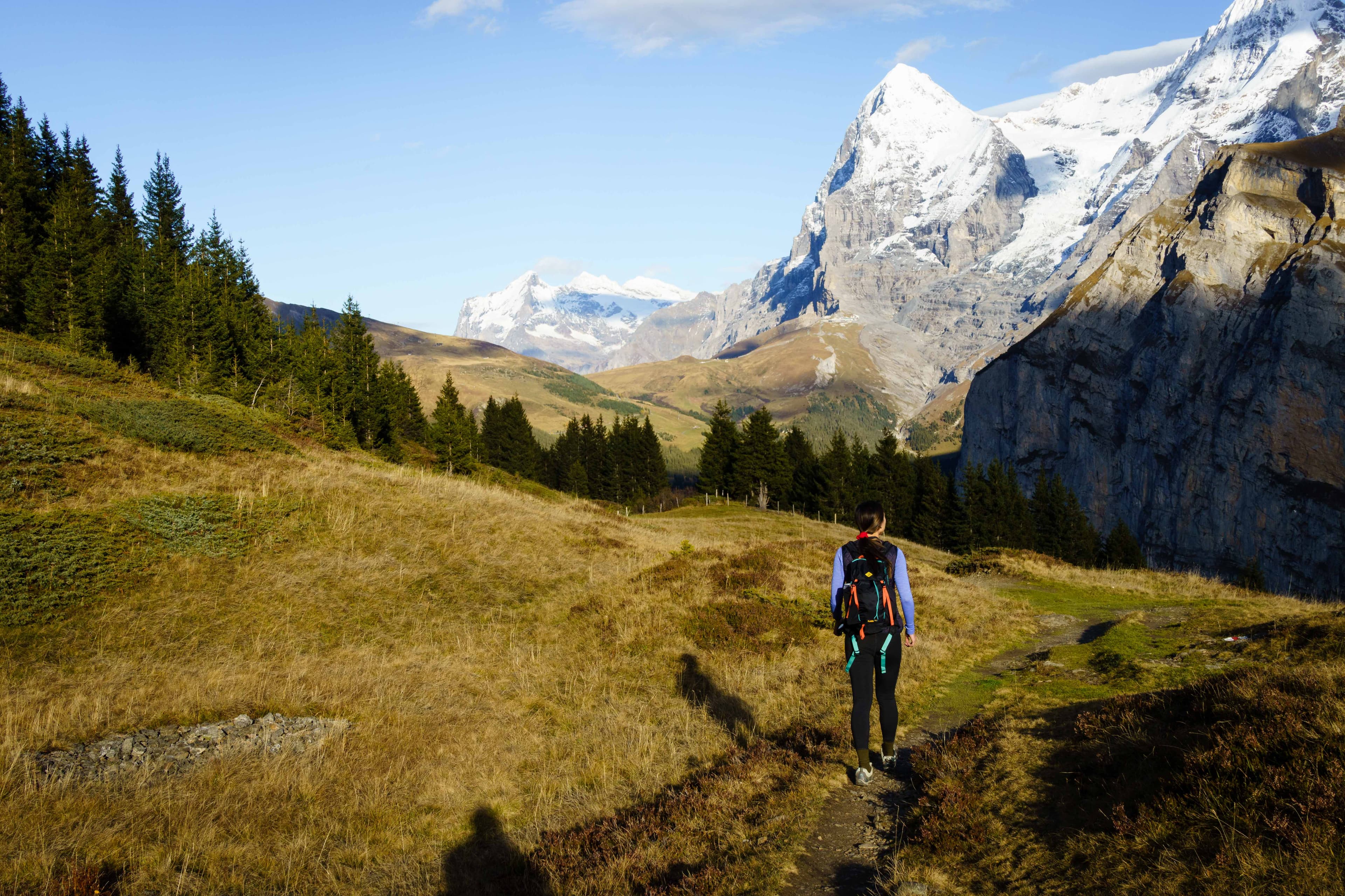 Swiss Alps 28
